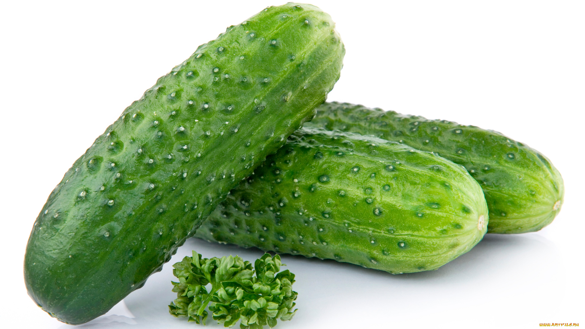 еда, огурцы, зеленый
