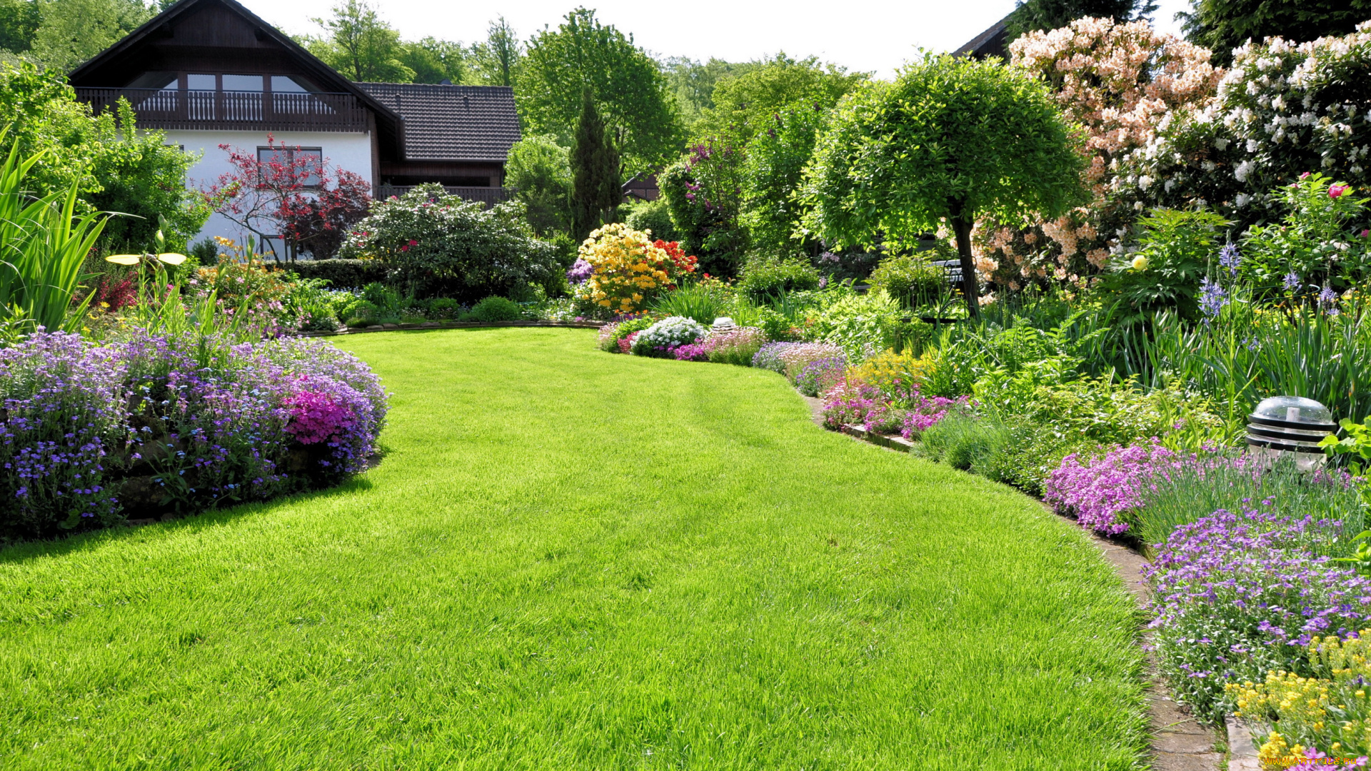 природа, парк, цветы, кусты, газоны, трава, сад