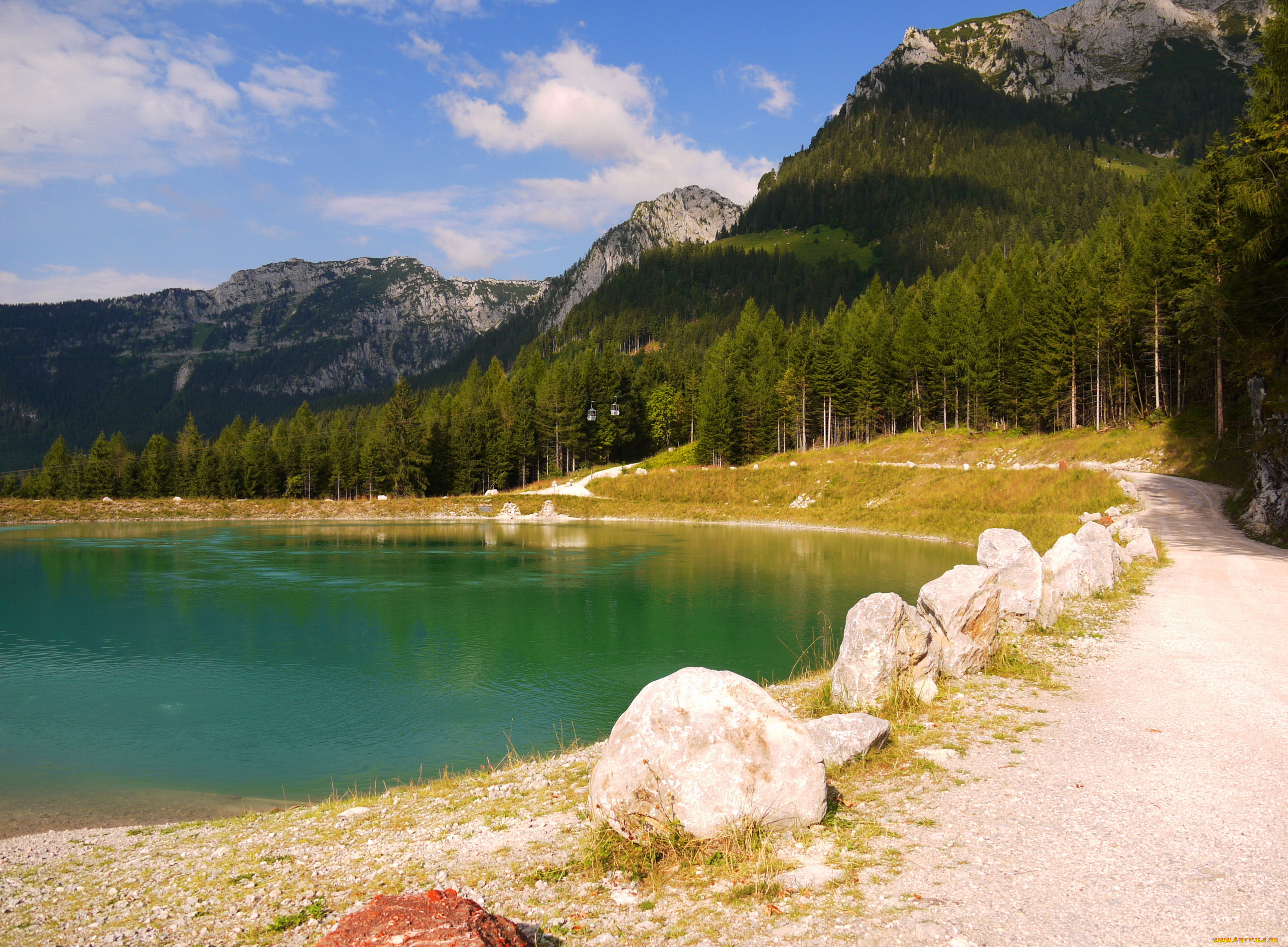 природа, побережье, лес, река, бавария, германия