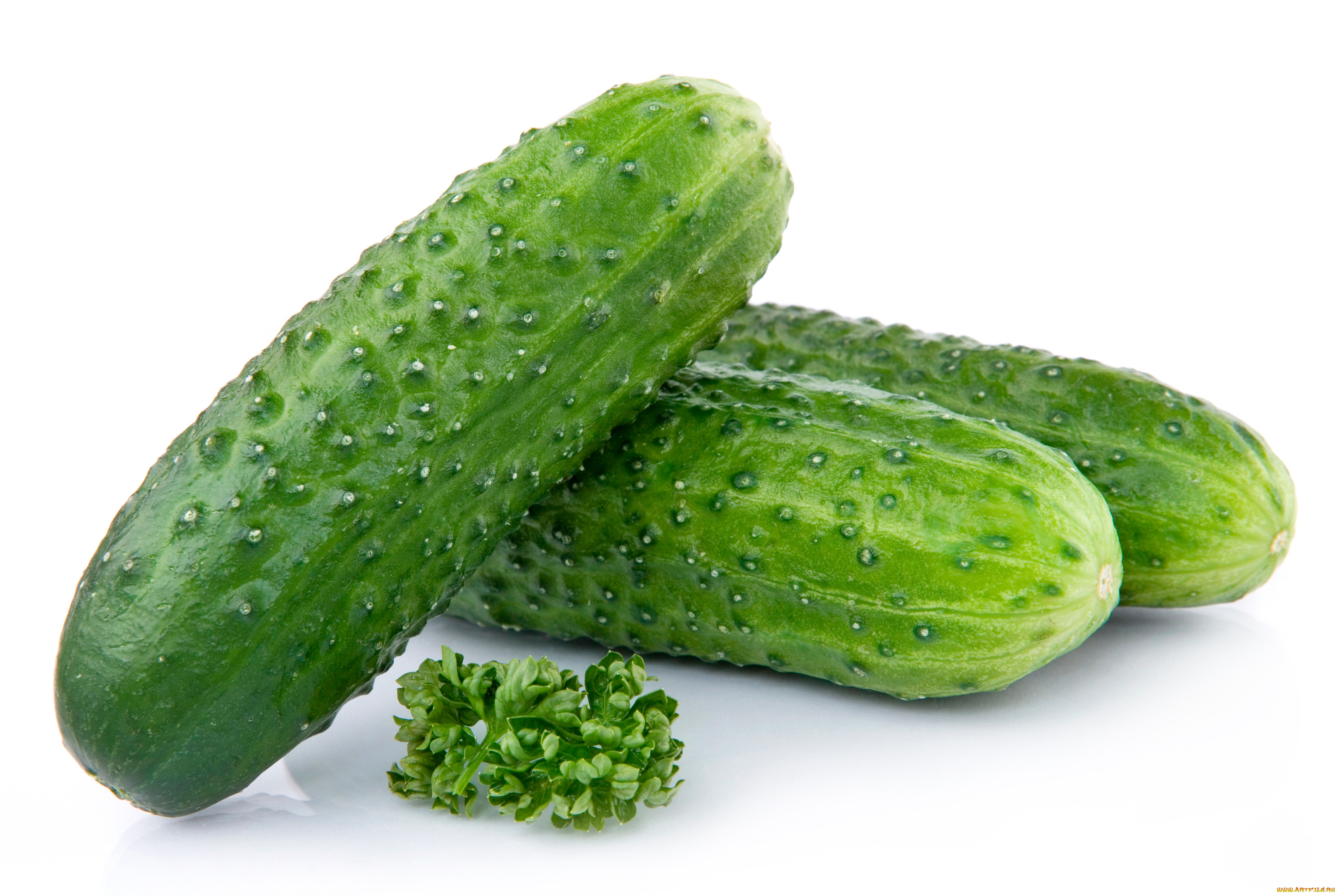 еда, огурцы, зеленый