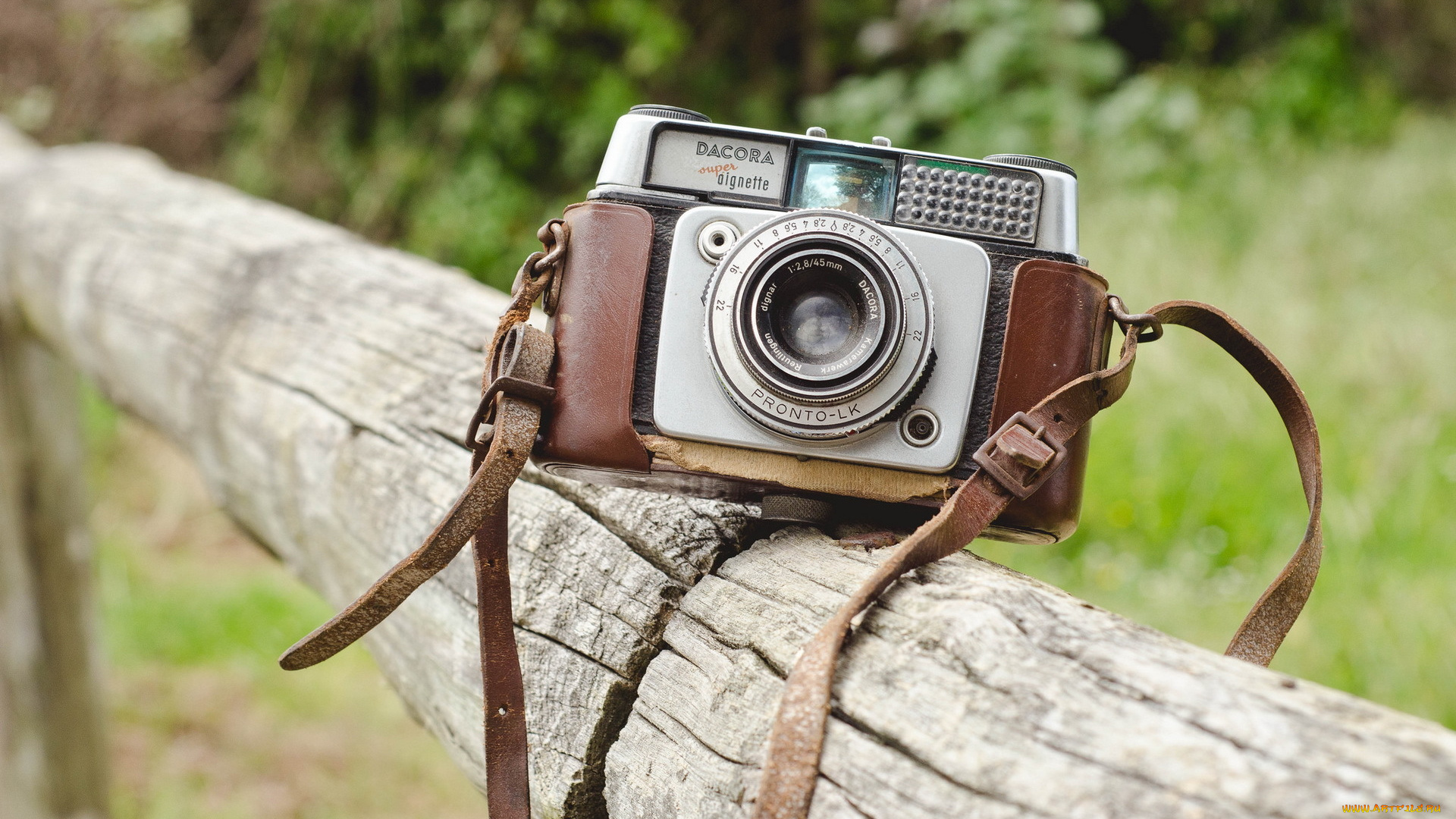 бренды, -, другое, камера, изгородь, бревно, фотоаппарат, чехол