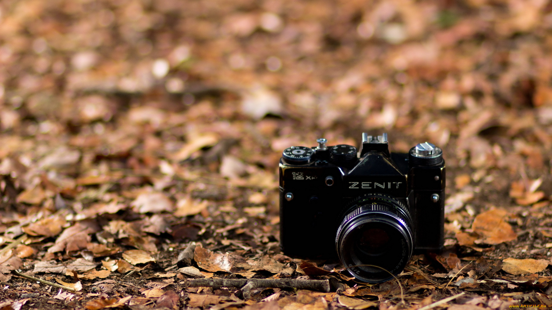 бренды, зенит, листья, черный, камера, фотоаппарат, осень