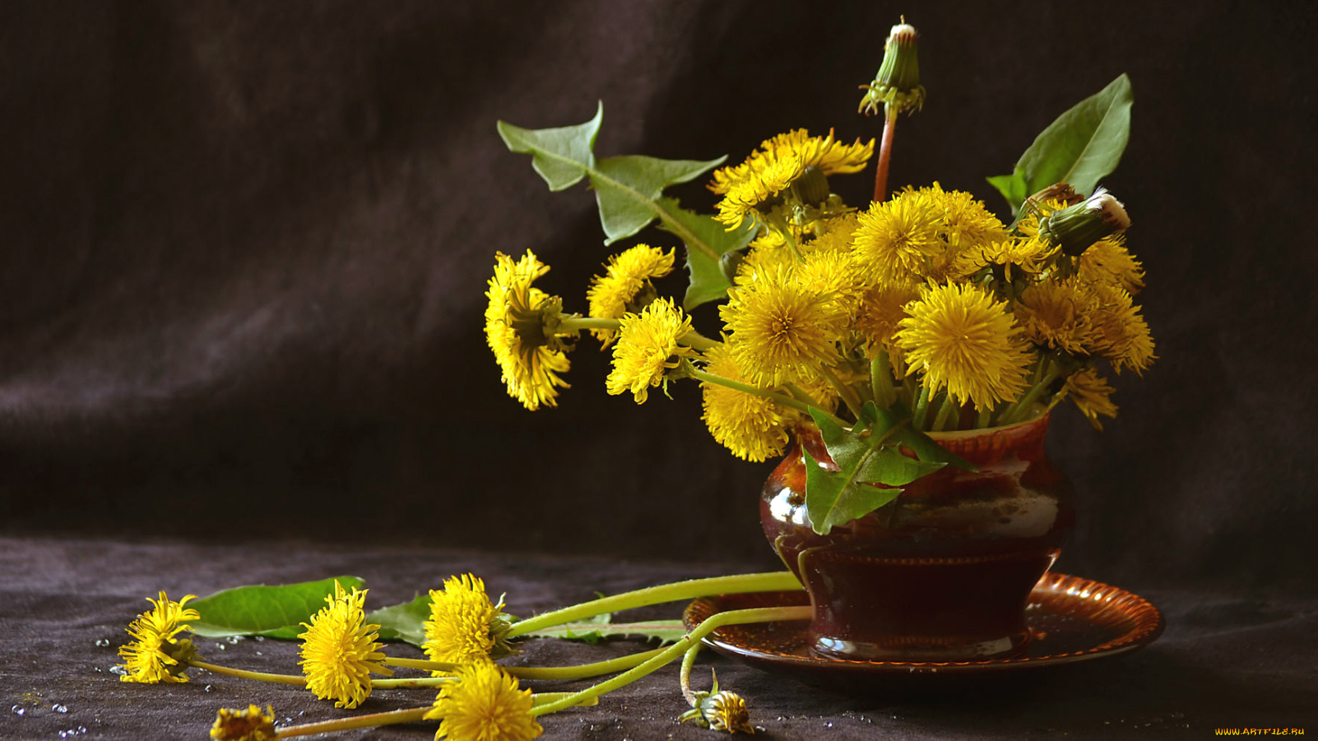 цветы, одуванчики, желтый, букет