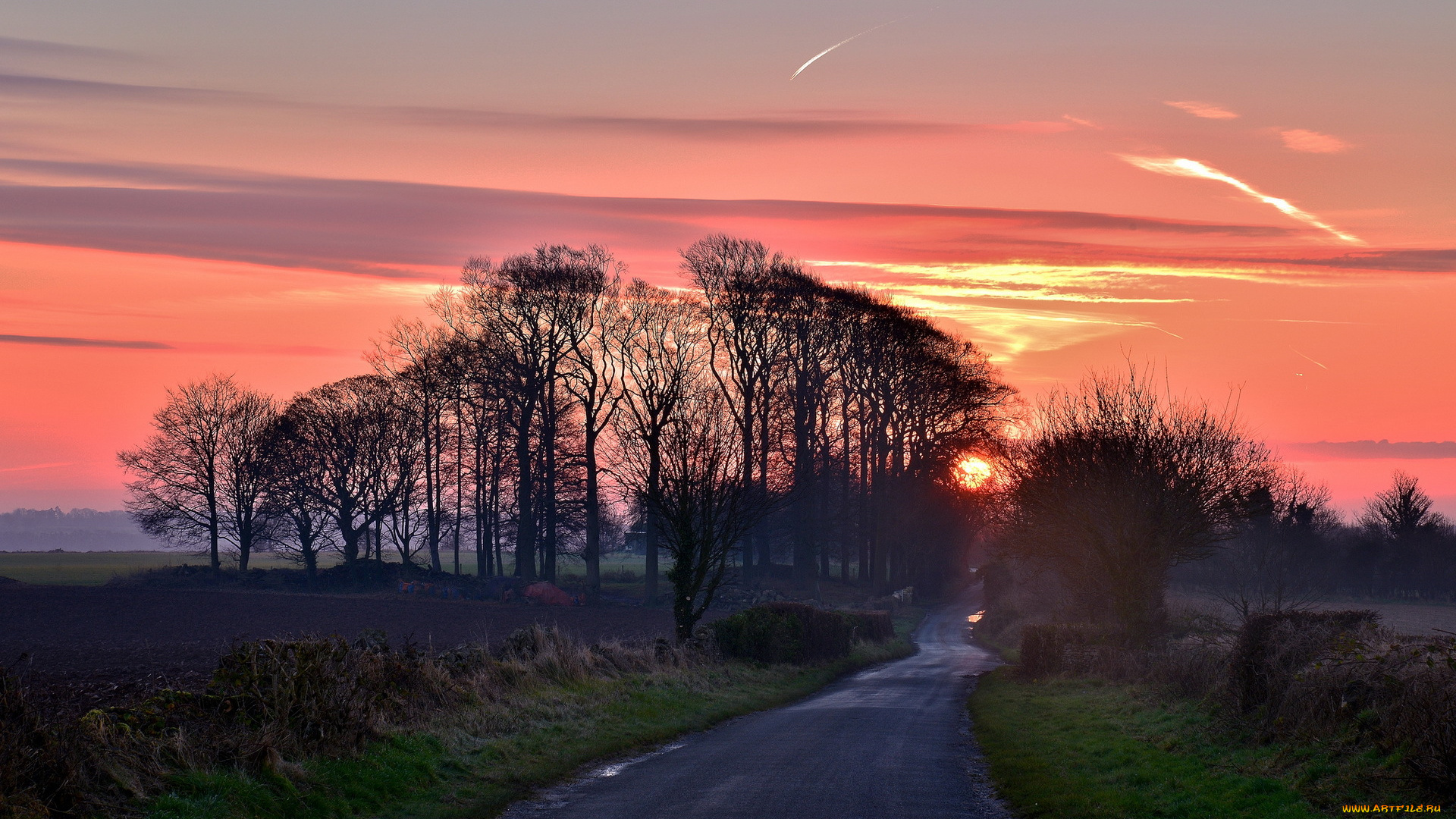 природа, дороги, закат, деревья