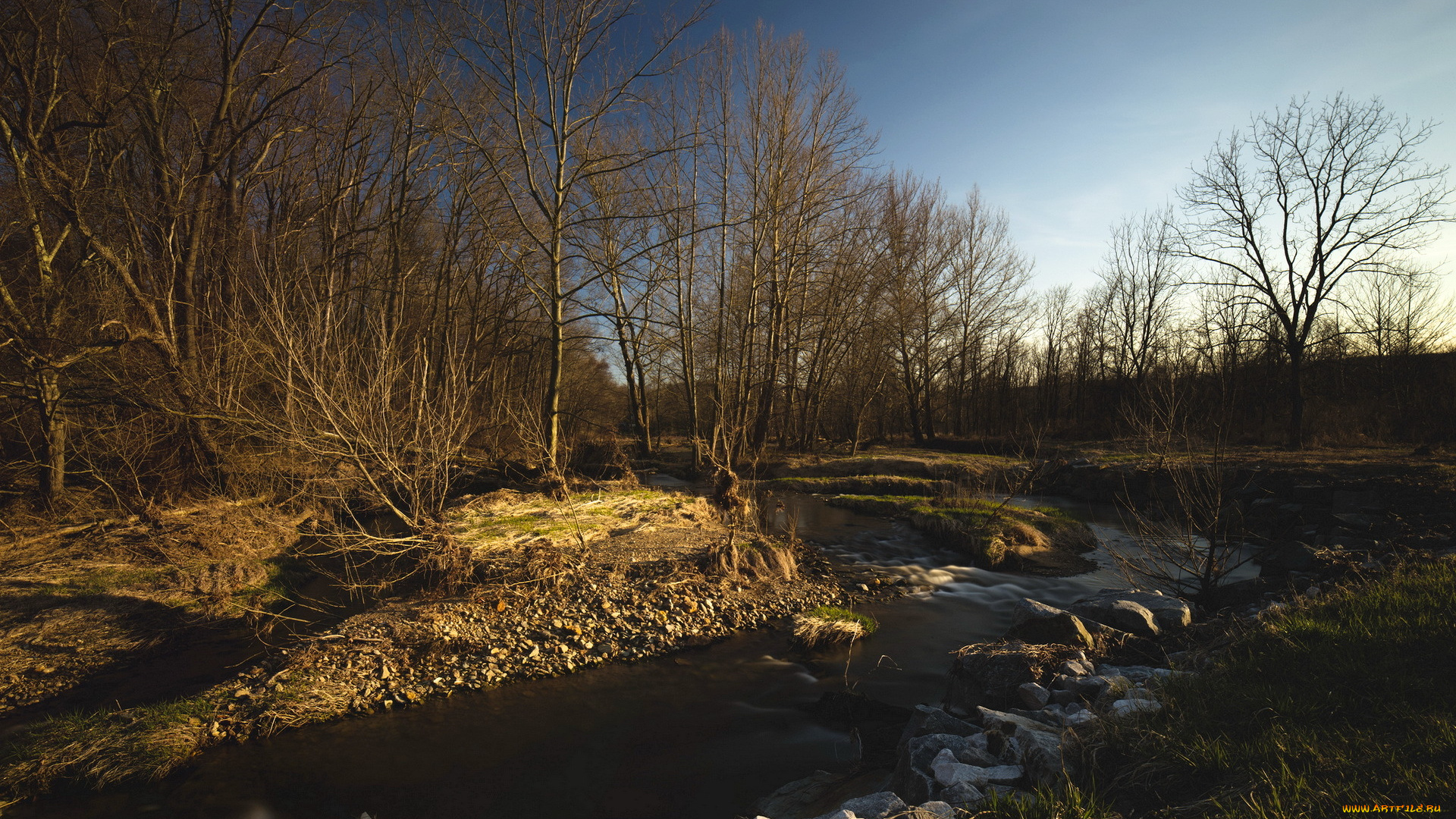 природа, реки, озера, пейзаж, весна, река, утро