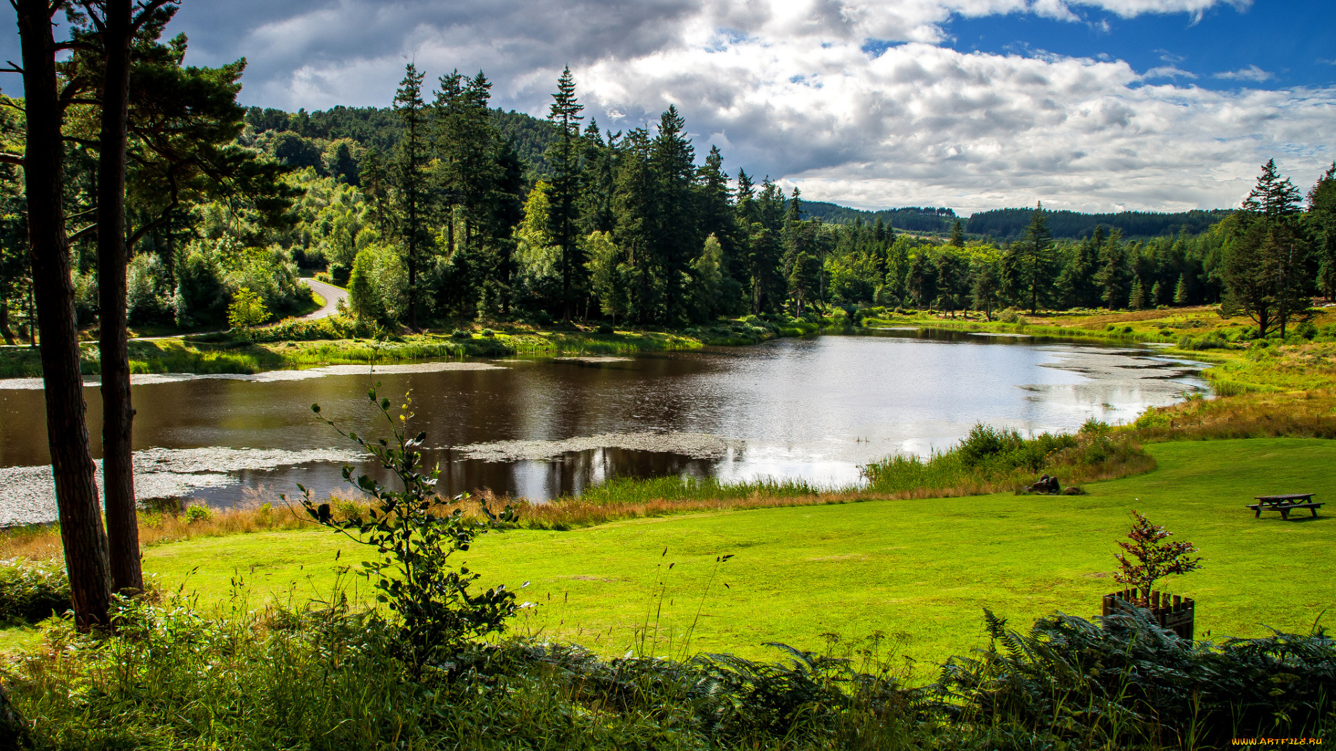 природа, реки, озера, река, лес