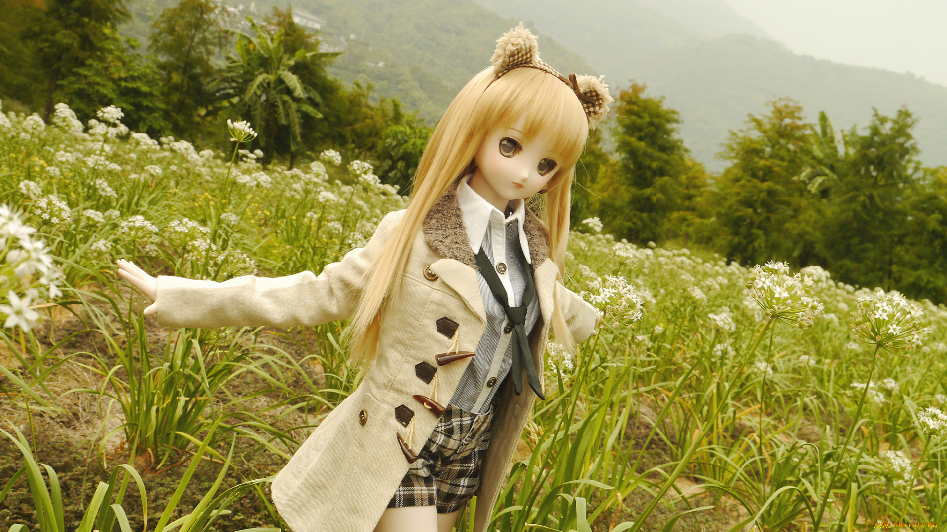 разное, игрушки, игрушка, кукла, поле, природа