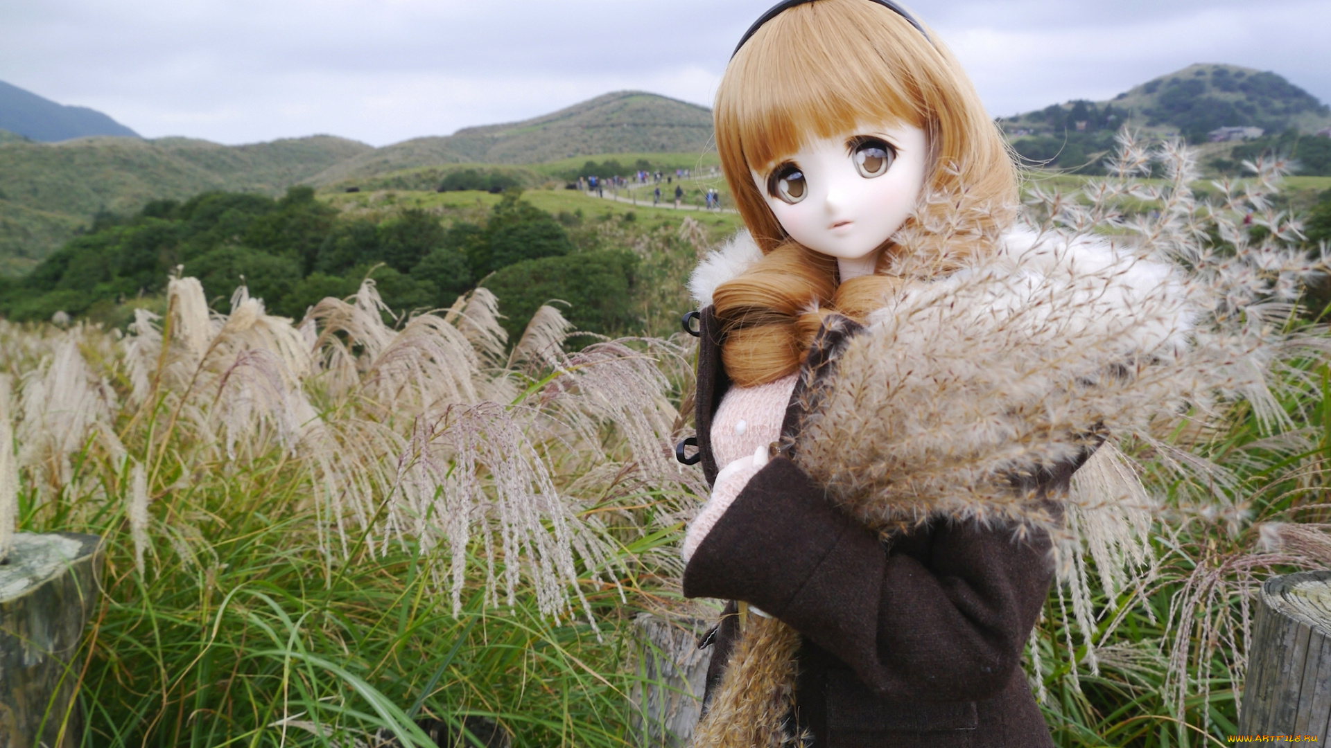 разное, игрушки, кукла, игрушка, природа