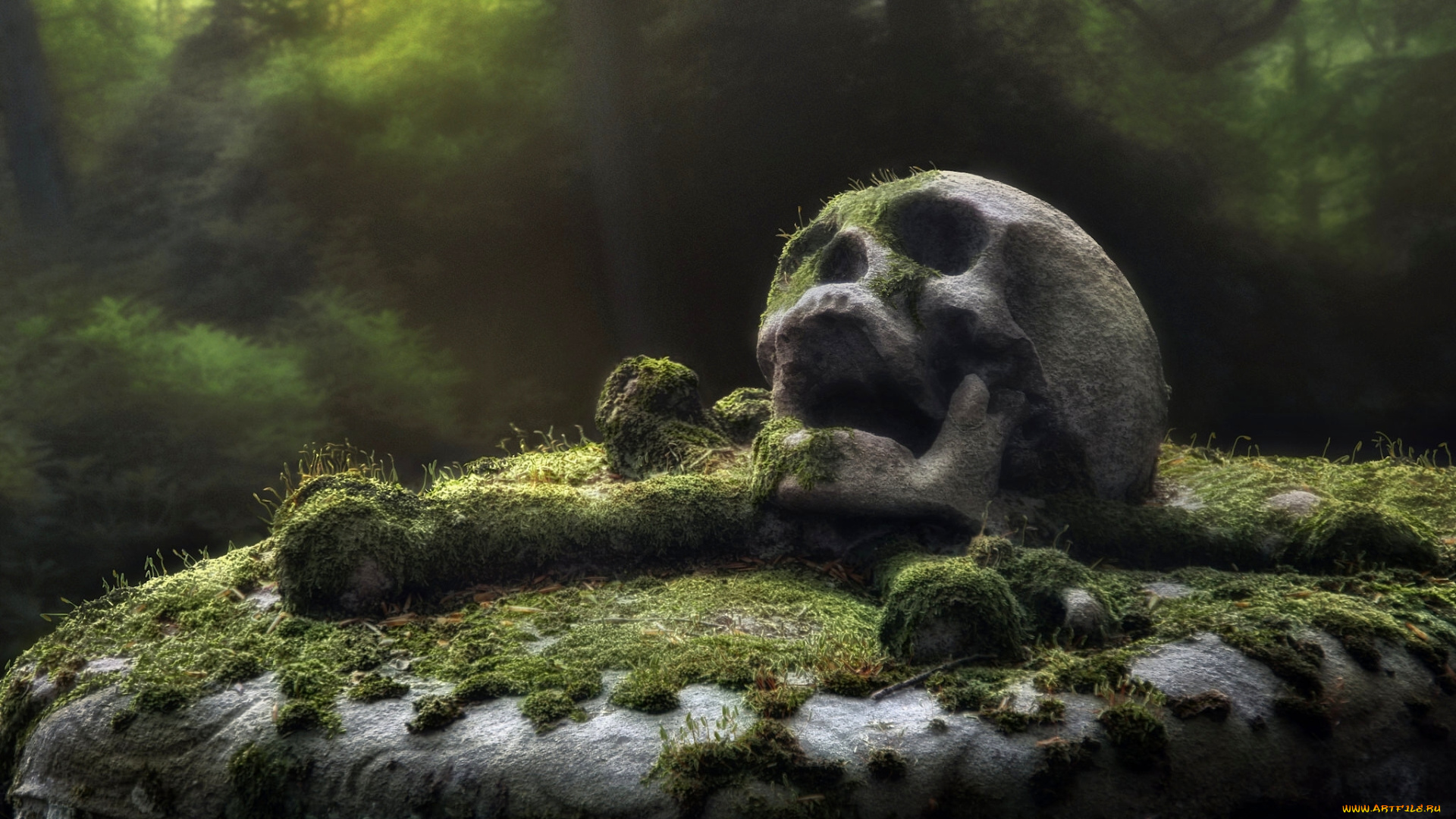 разное, кости, , рентген, мох, кладбище, памятник, плита, череп