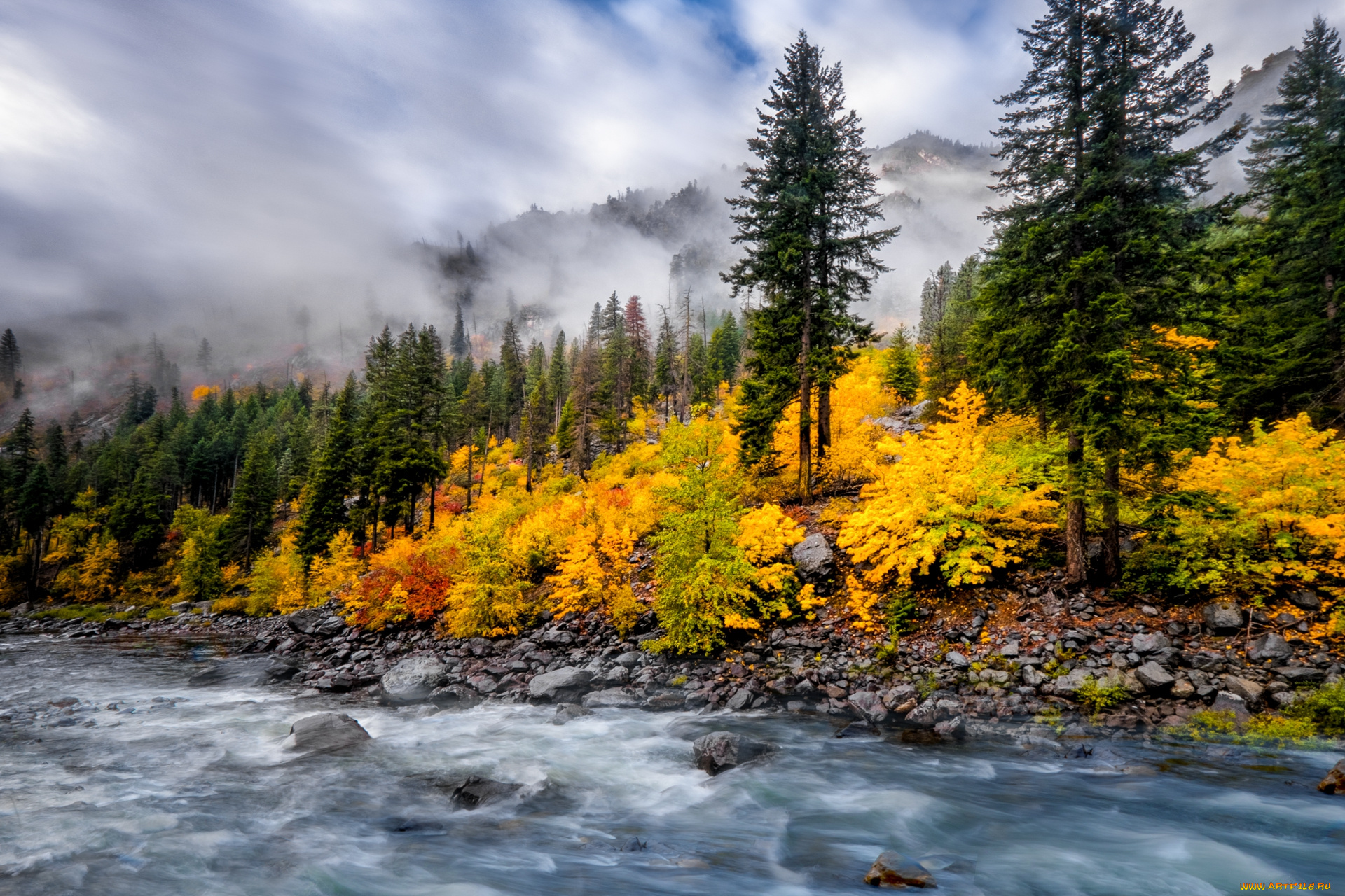 природа, реки, озера, река, лес