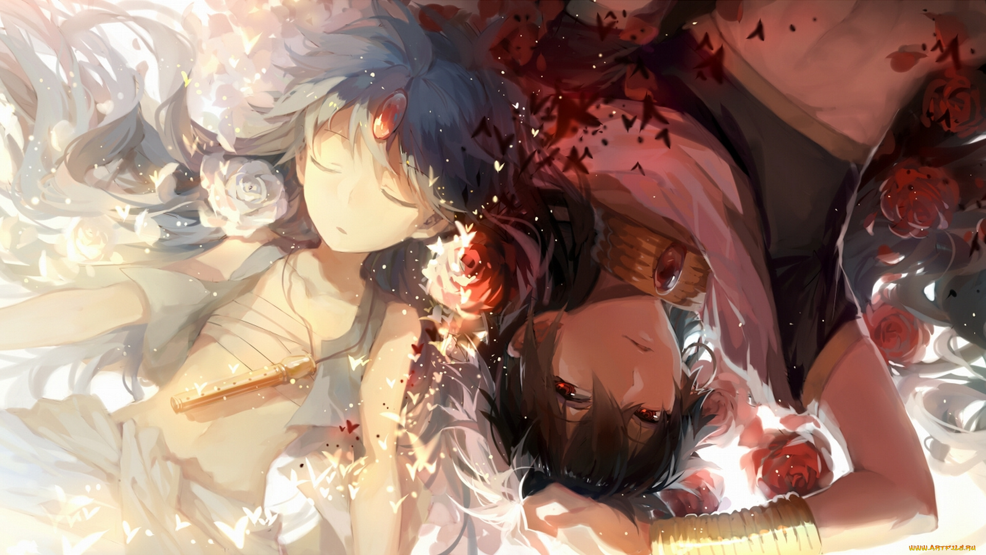 аниме, magi, the, labyrinth, of, magic, розы, цветы, парни, rukh, aladdin, judal