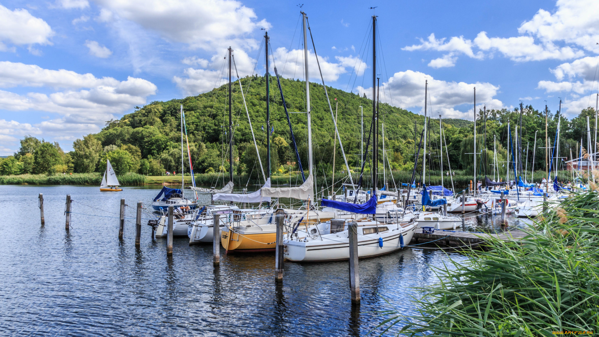 корабли, Яхты, бухта