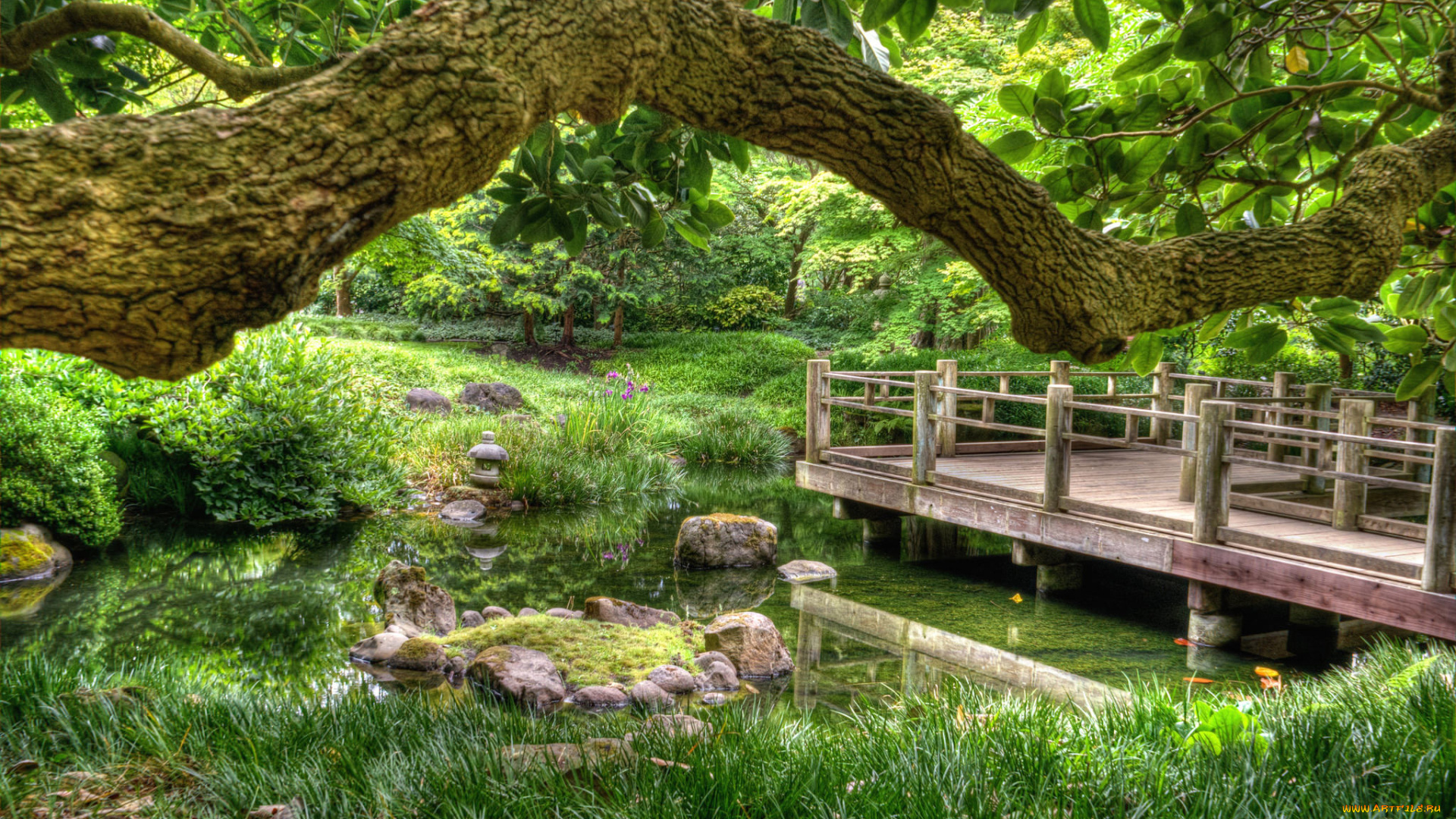 природа, реки, озера, лес, река