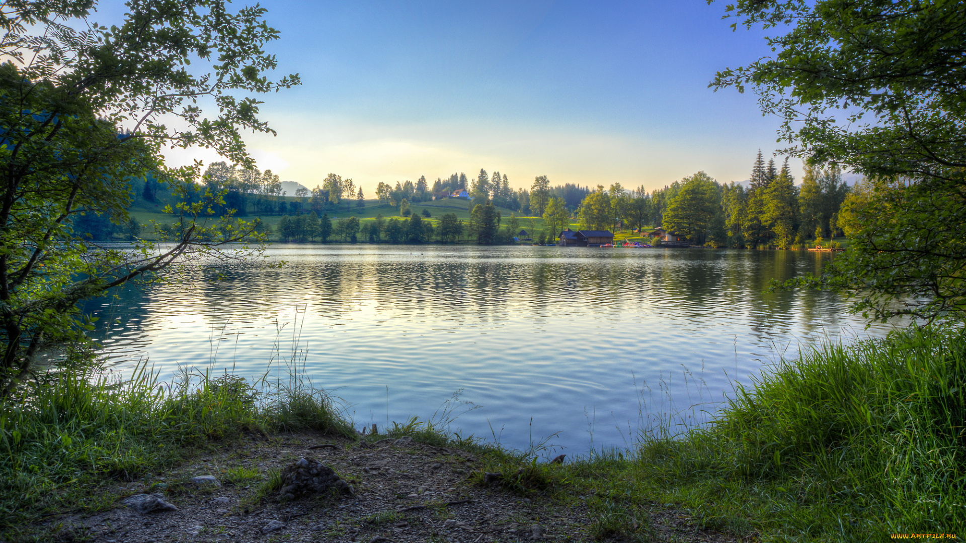 природа, реки, озера, река, лес