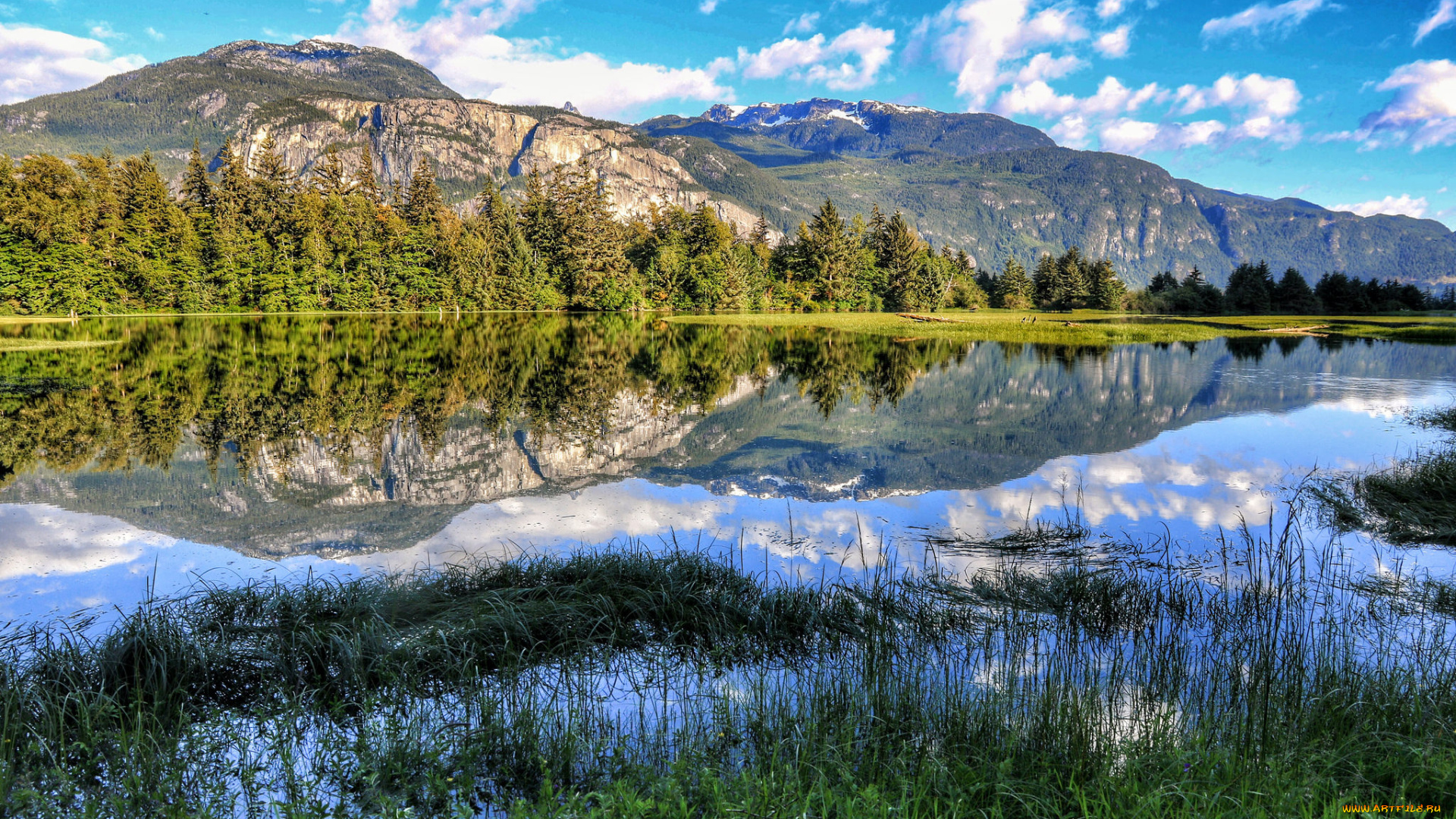 природа, реки, озера, река, лес