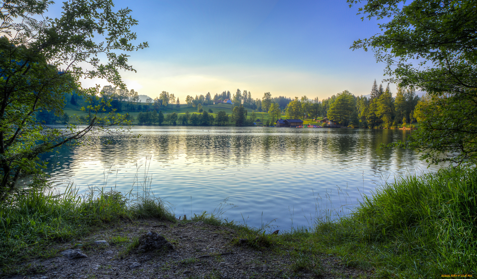 природа, реки, озера, река, лес