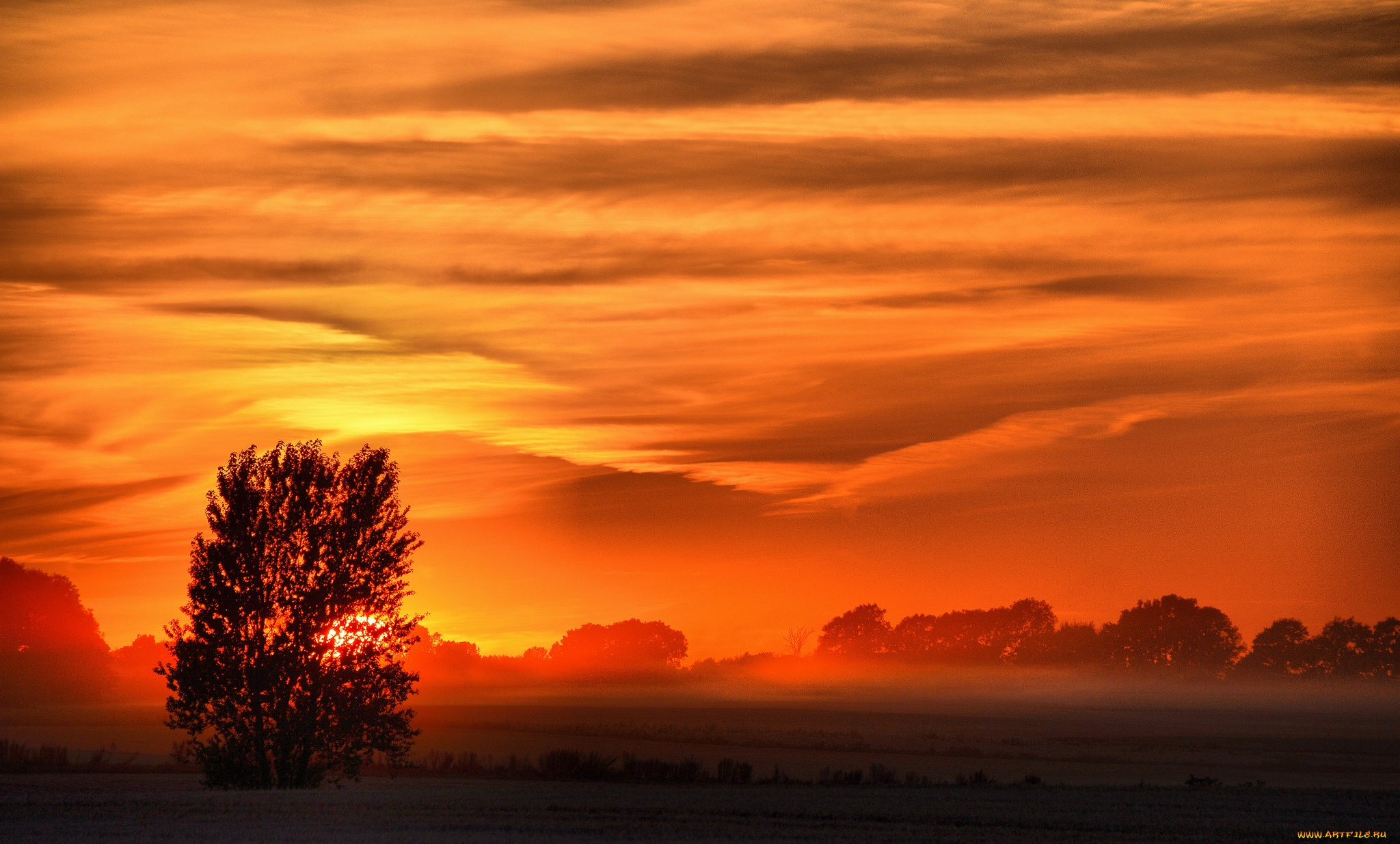 природа, восходы, закаты, деревья, поле, закат, туман, облака, зарево