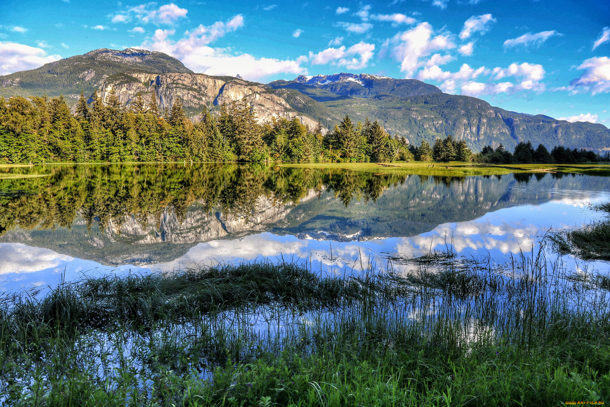 природа, реки, озера, река, лес