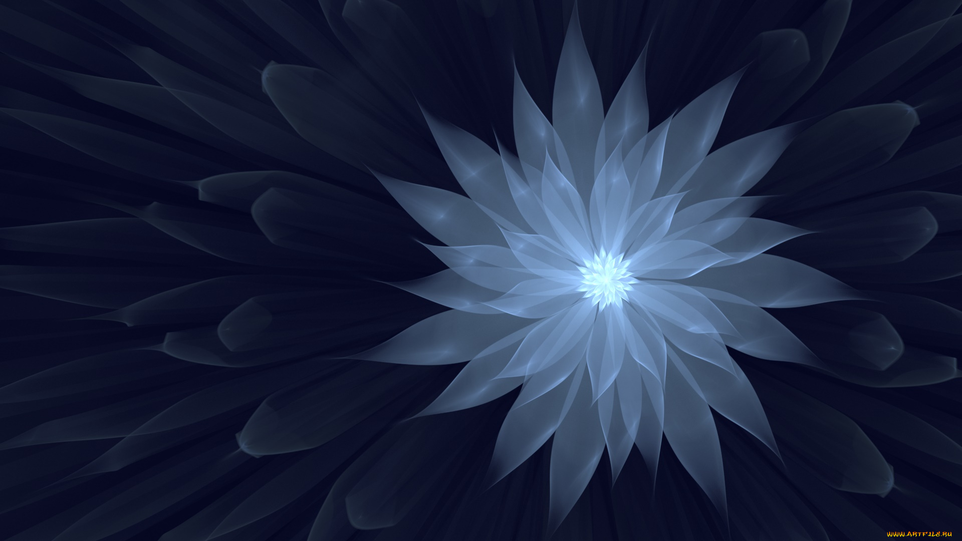 3д, графика, цветы, , flowers, лепестки, фон