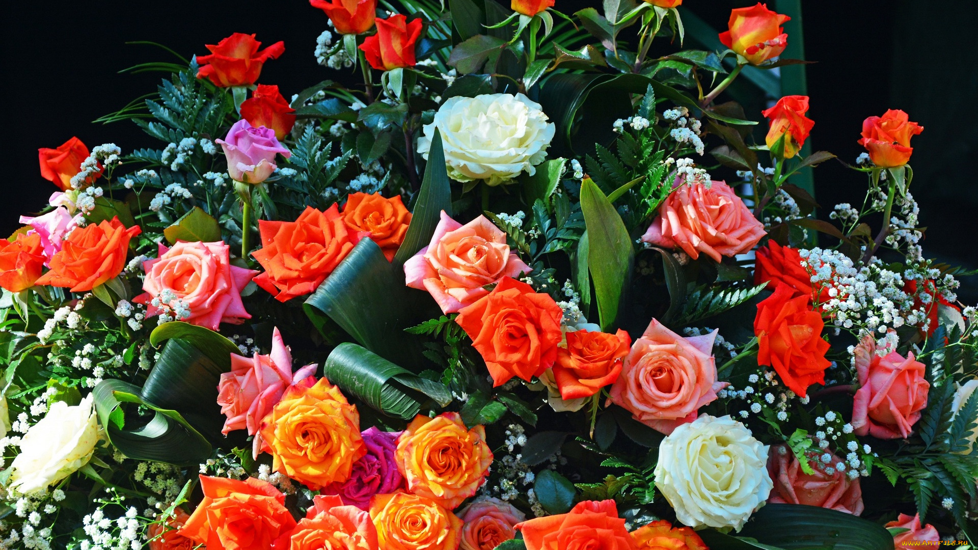 цветы, букеты, , композиции, розы, букет