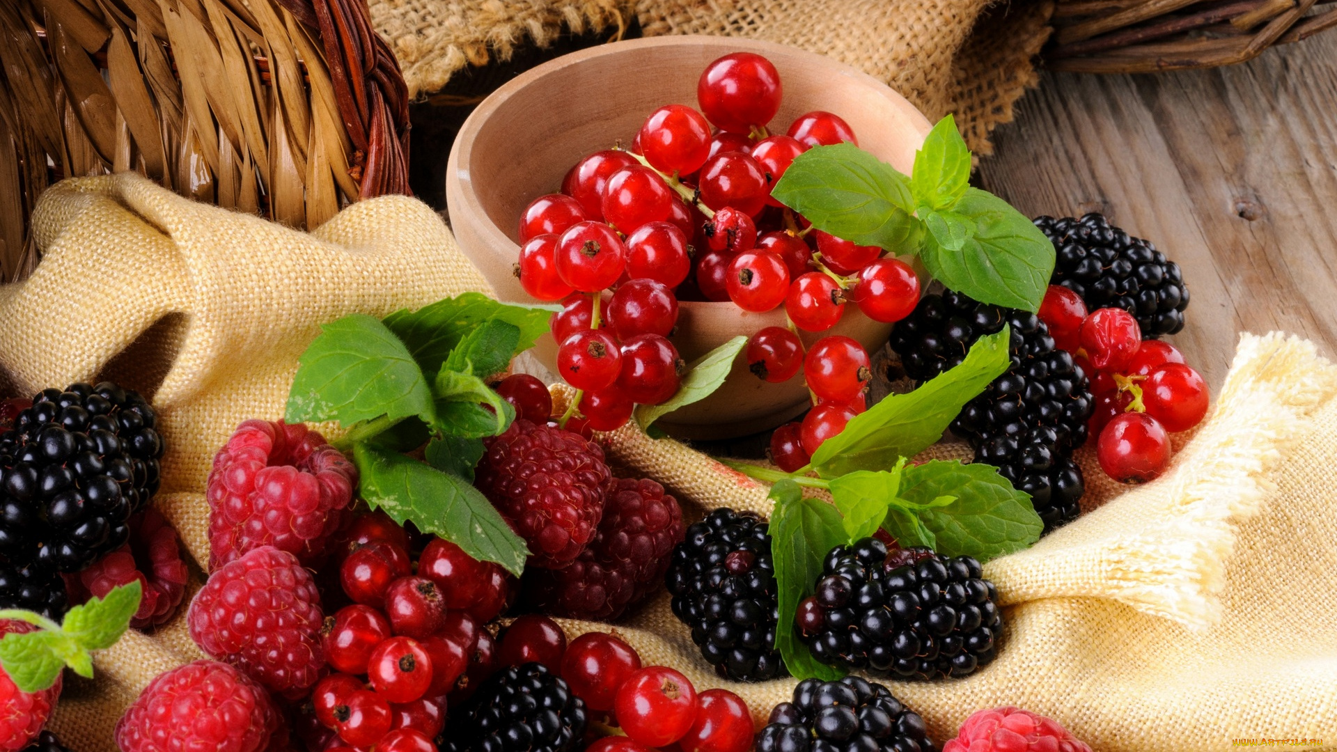 еда, фрукты, , ягоды, малина, ежевика, красная, смородина