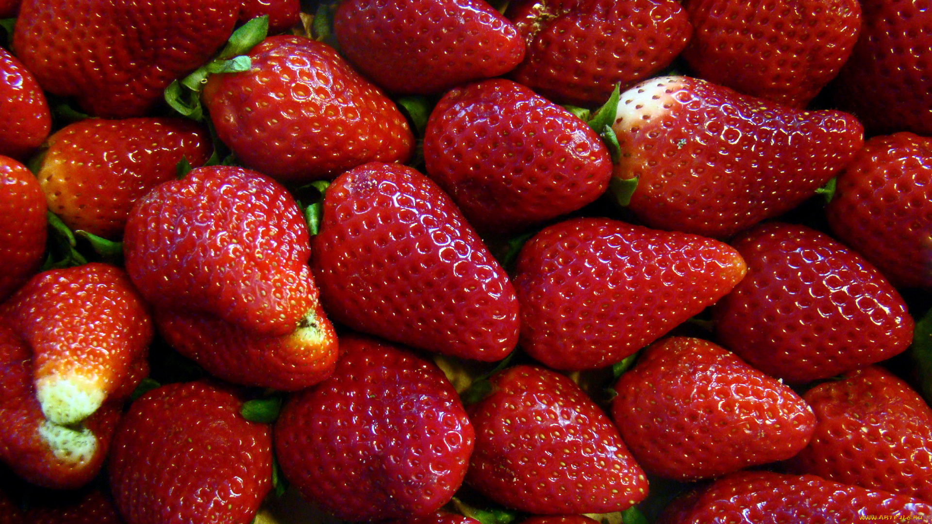 еда, клубника, , земляника, макро, много, ягоды