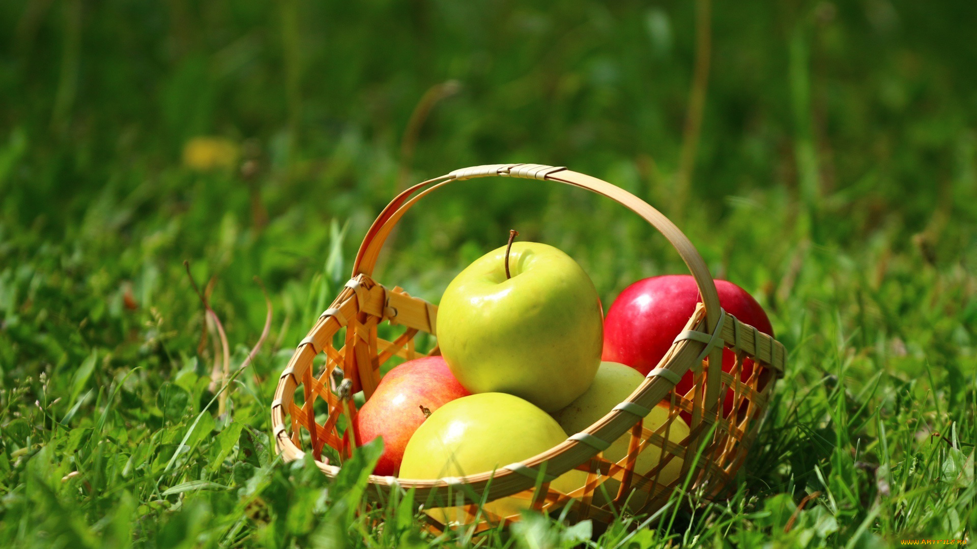 еда, Яблоки, корзинка, яблоки, трава