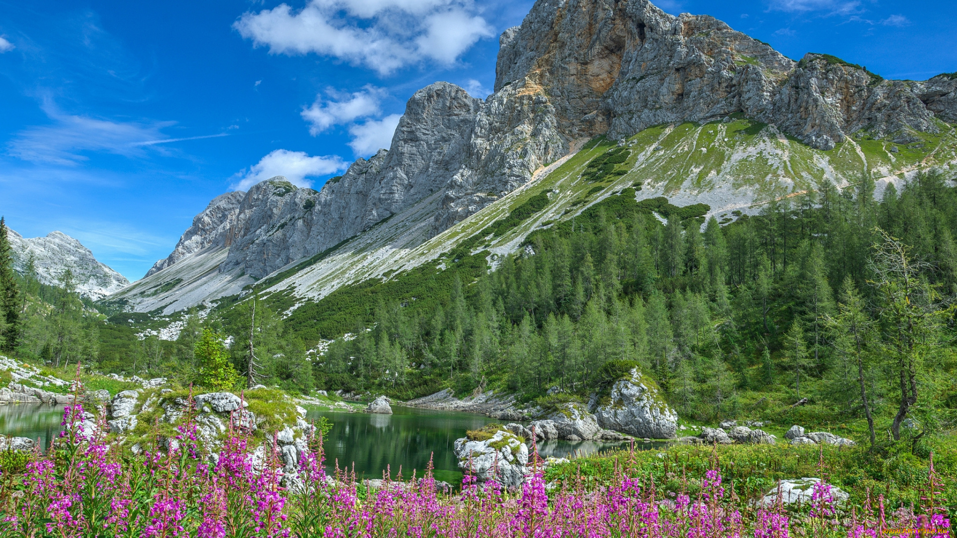 природа, горы, простор