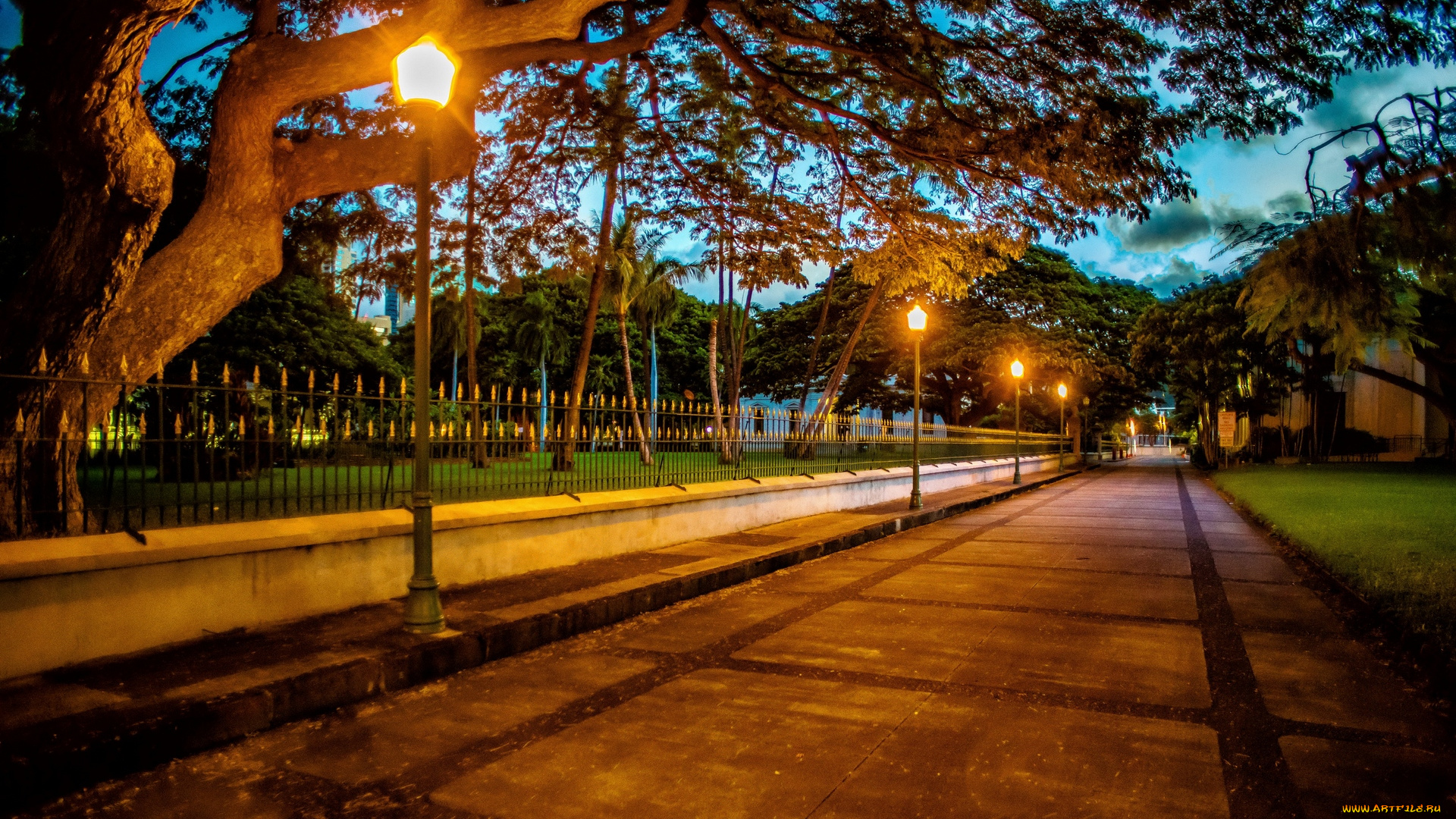 природа, парк, деревья, фонари, аллея, ночь