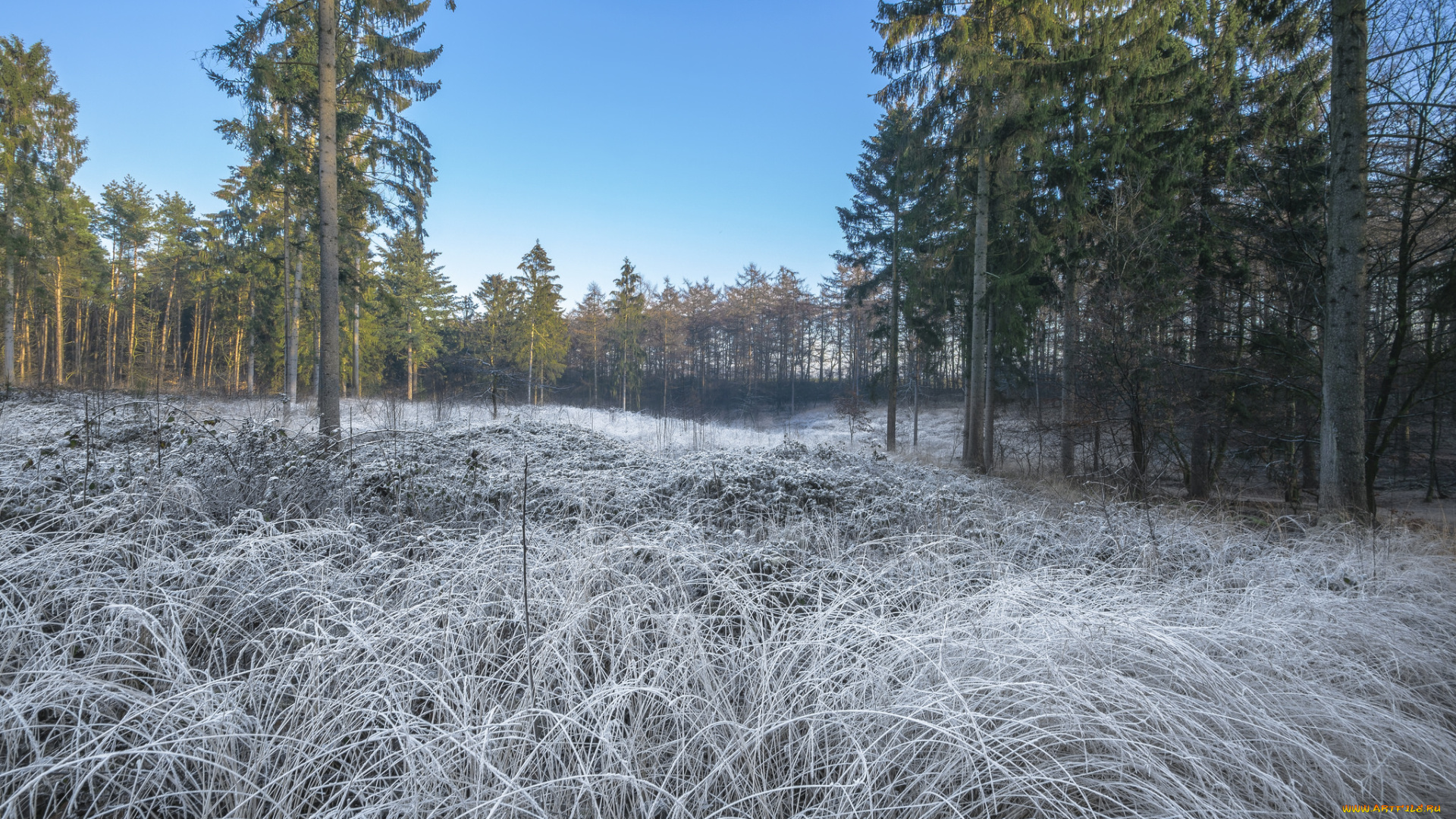 природа, пейзажи, простор