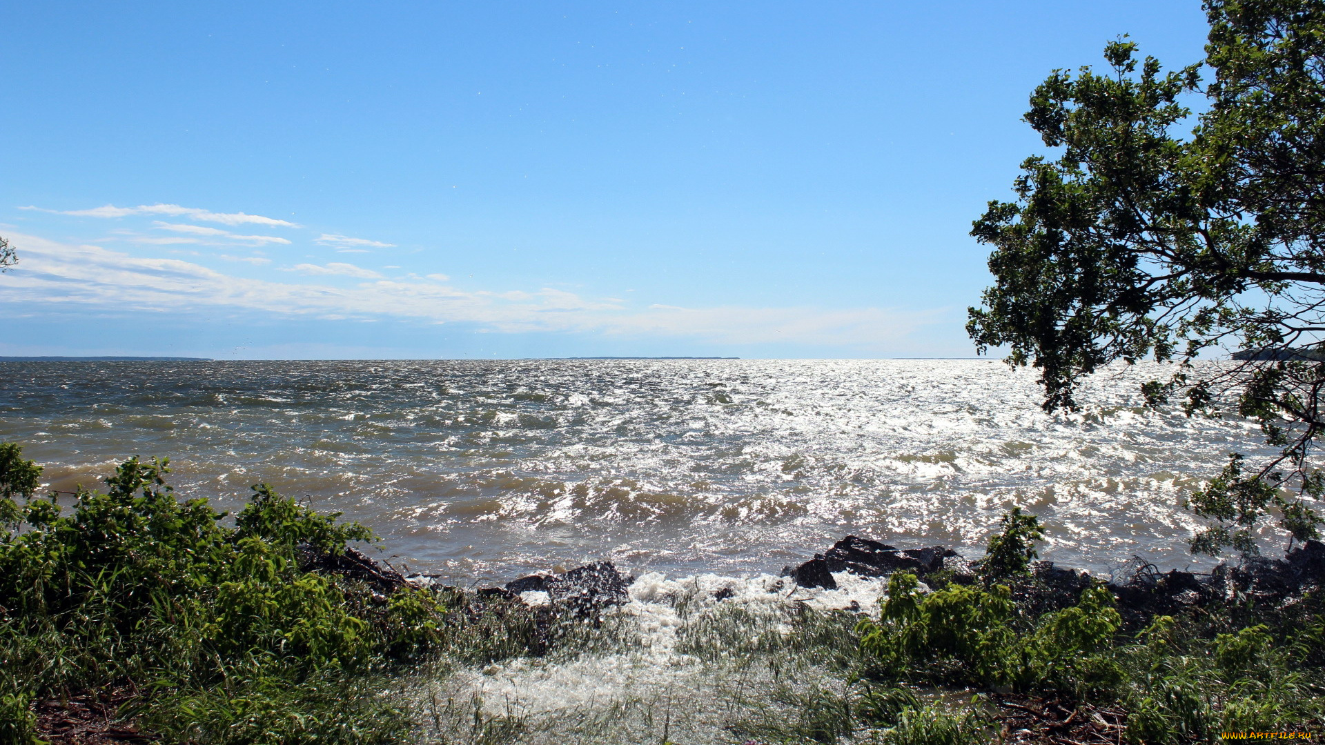 природа, реки, озера, водная, гладь