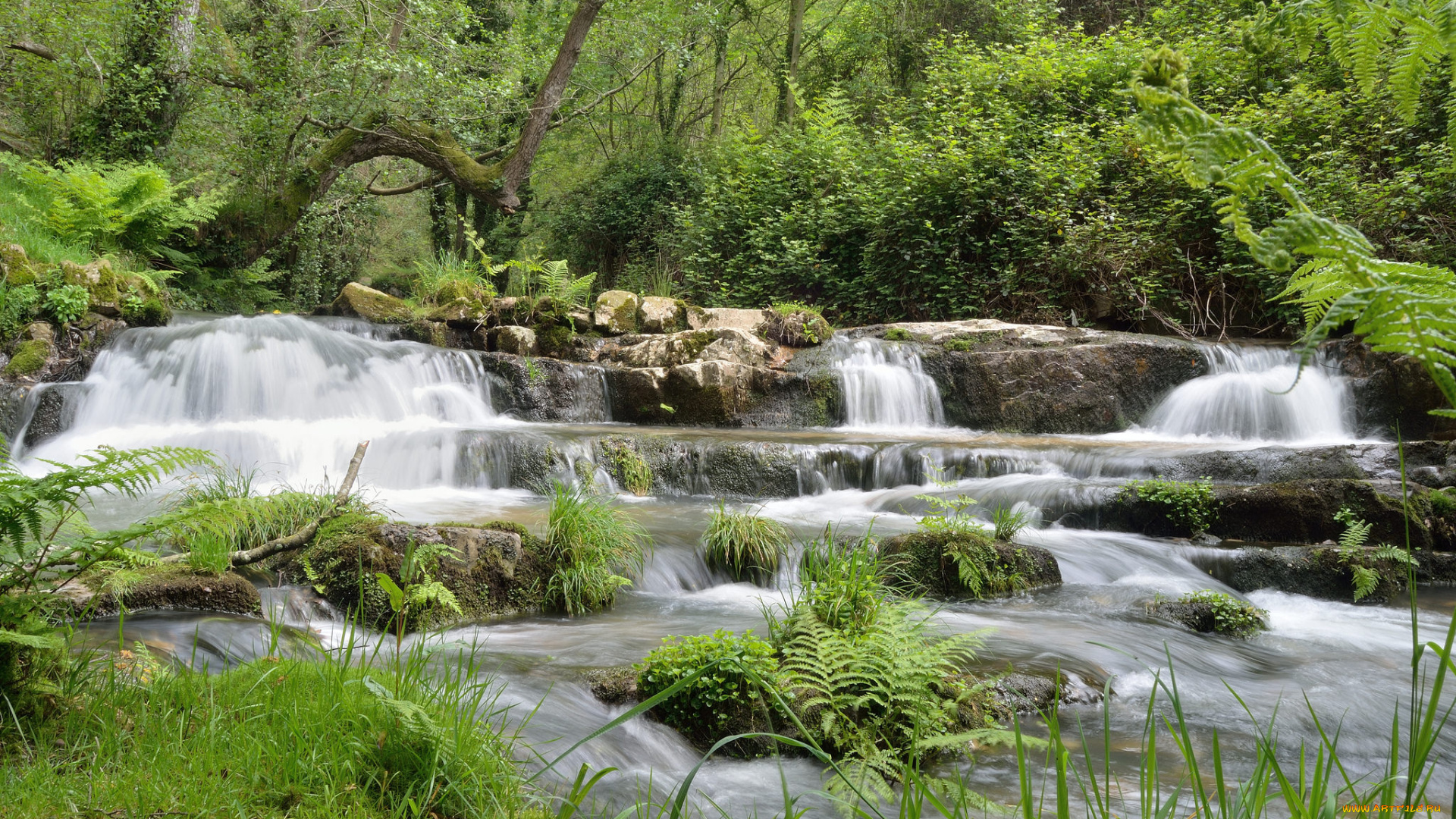 природа, реки, озера, waterfall, вода, река, river, stream, rocks, поток, камни, водопад, water