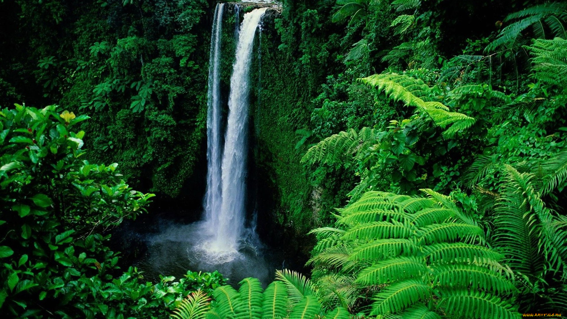 природа, водопады, река, лес