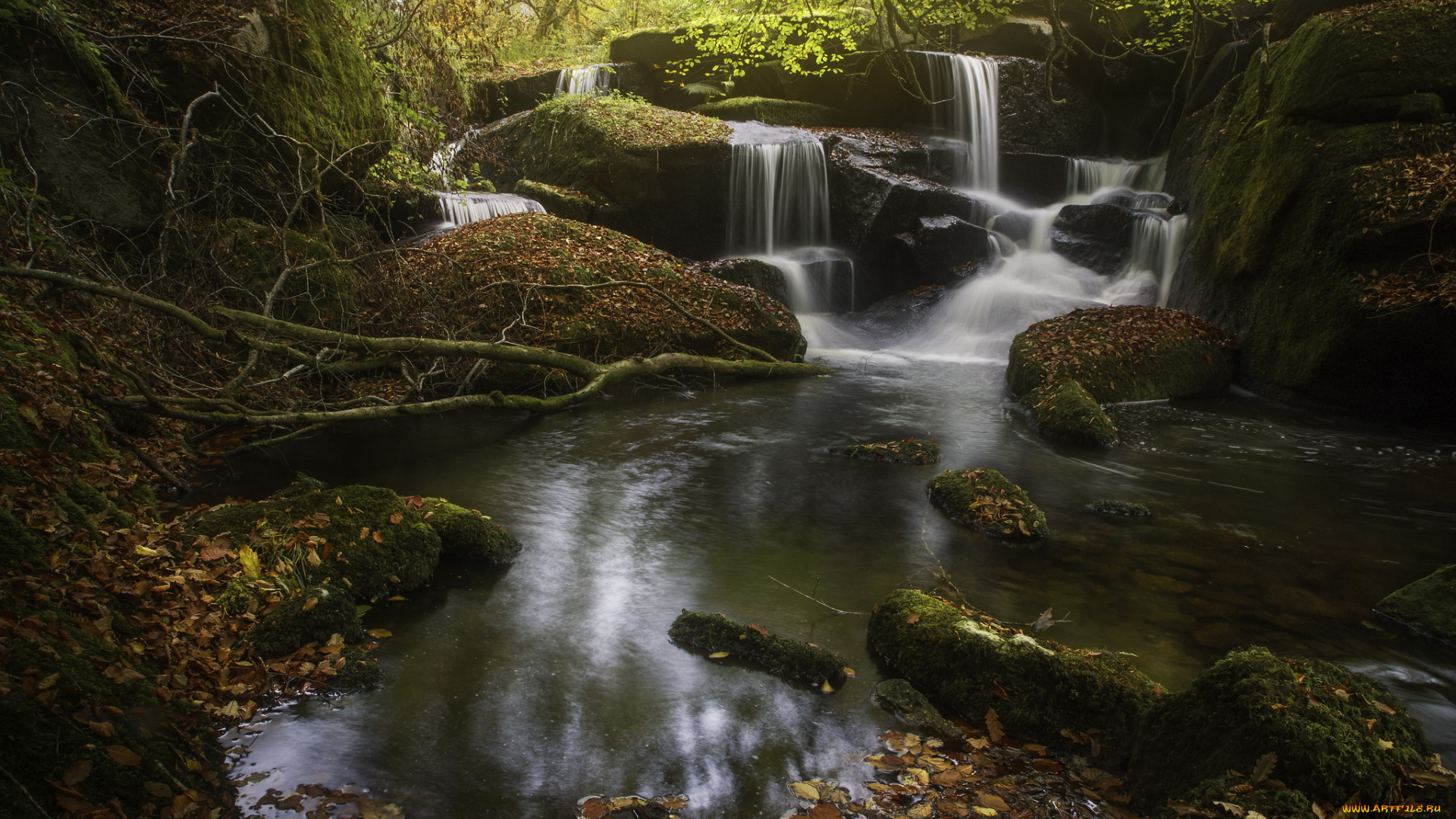 природа, водопады, stream, листья, вода, поток, водопад, осень, waterfall, autumn, water, leaves