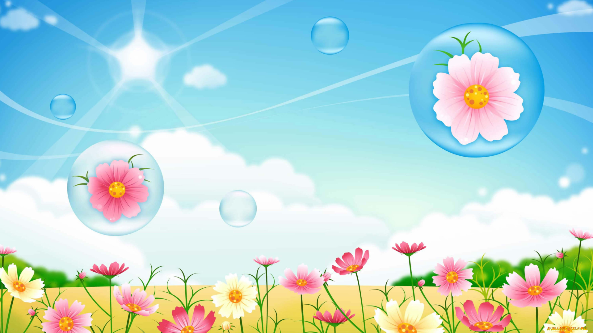 векторная, графика, цветы, , flowers, цветы, фон