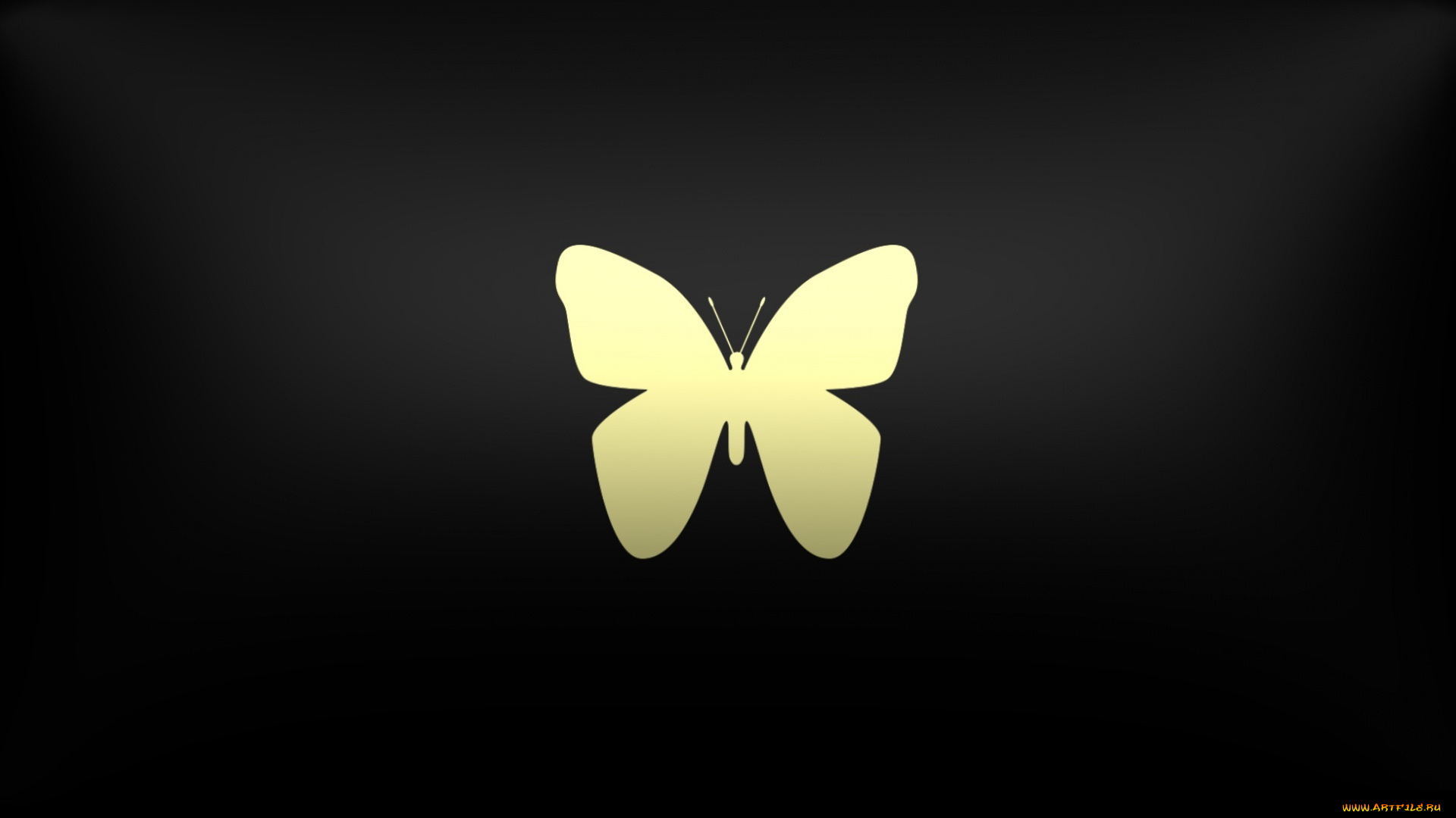 векторная, графика, животные, , animals, бабочка