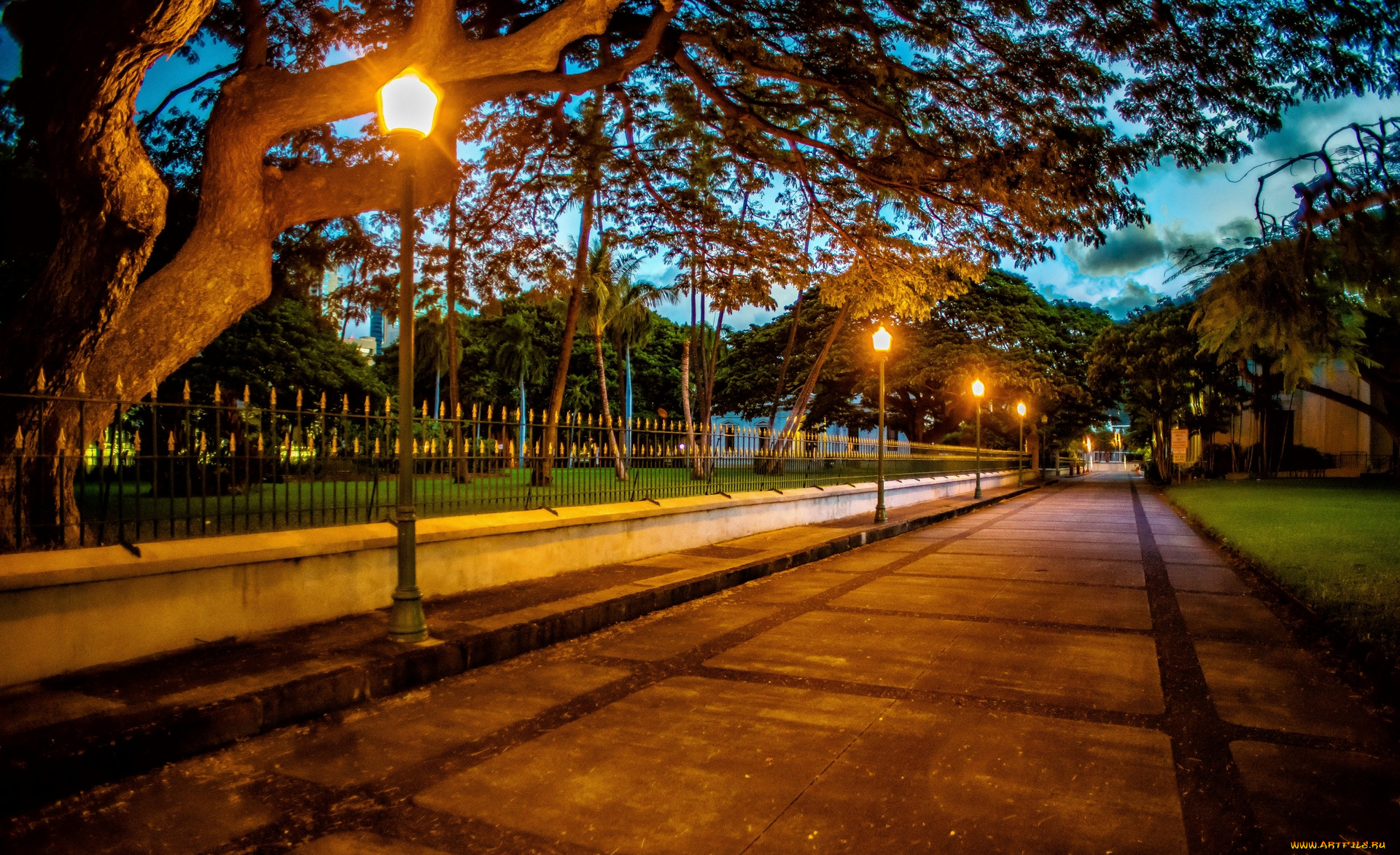 природа, парк, деревья, фонари, аллея, ночь