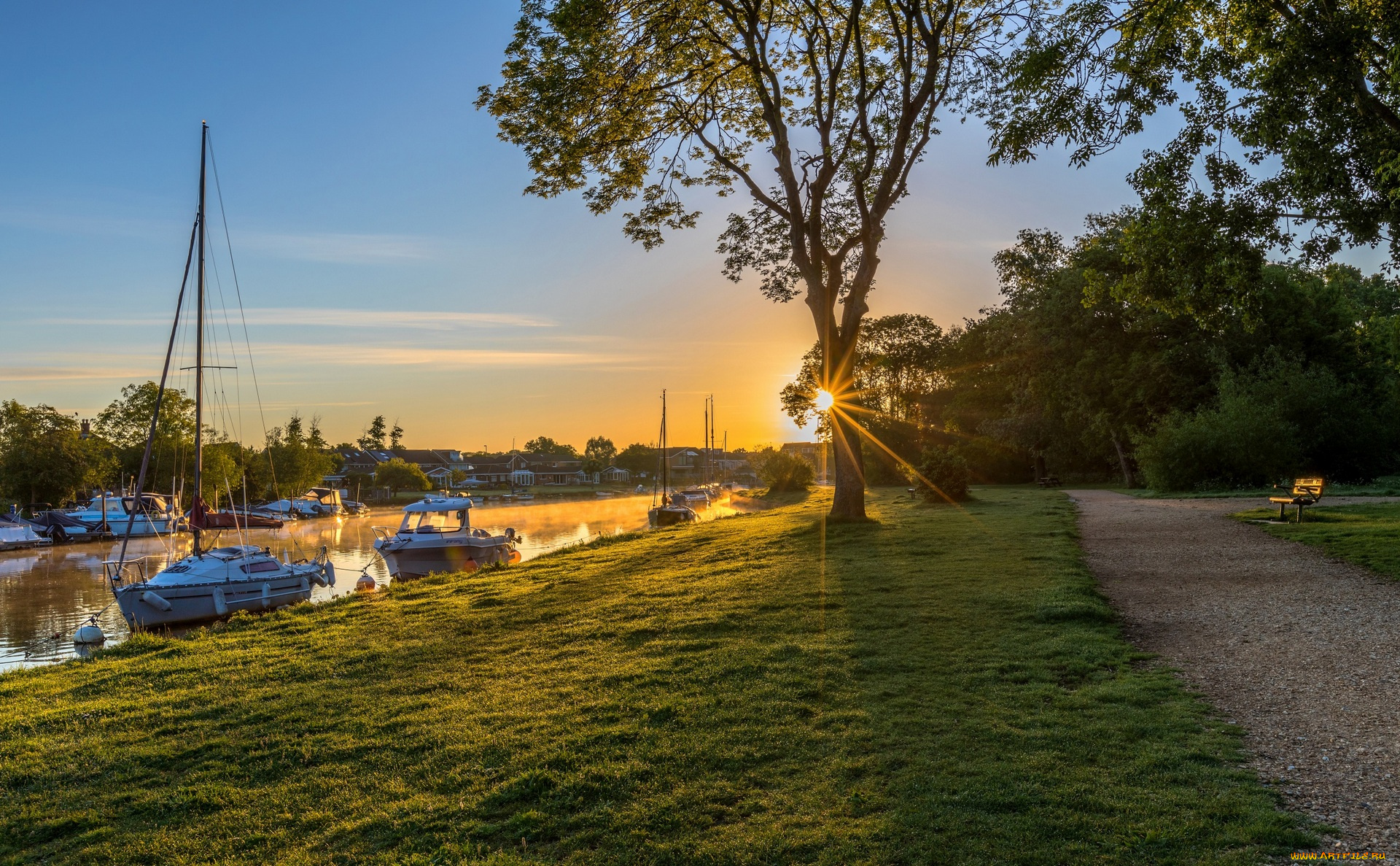 корабли, Яхты, деревья, трава, вода, аллея