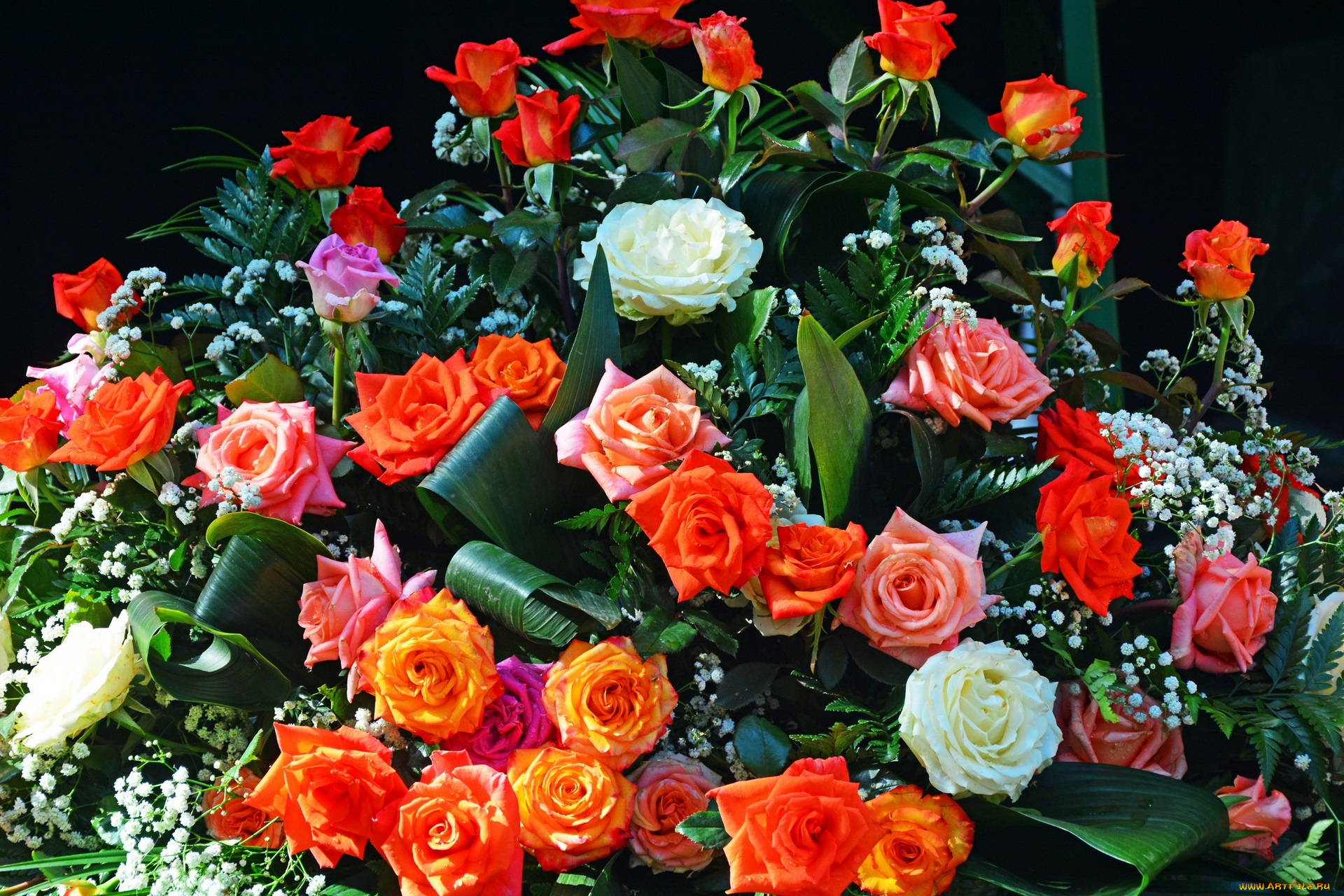 цветы, букеты, , композиции, розы, букет