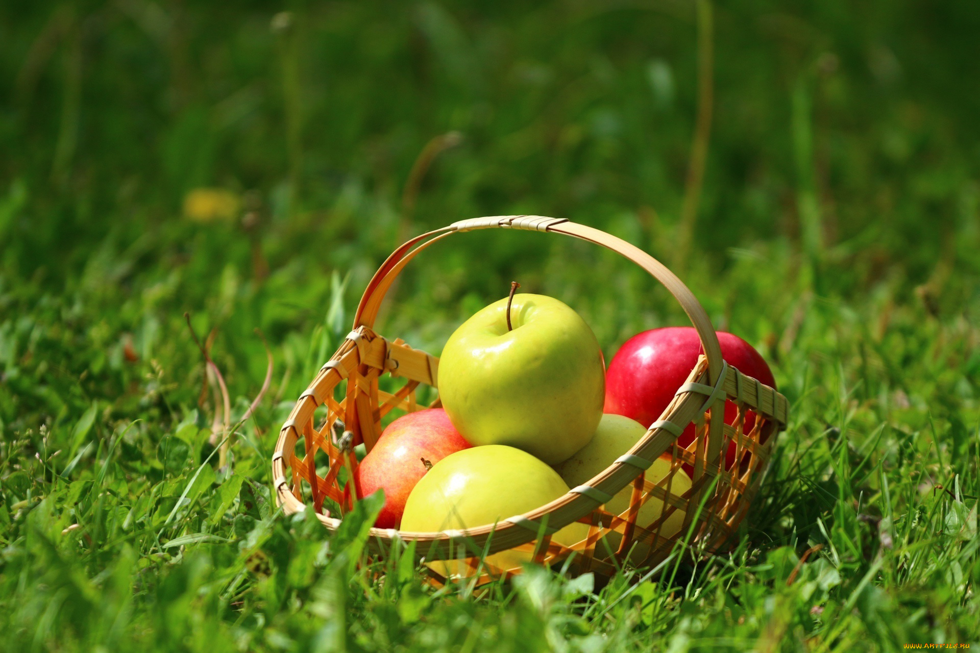 еда, Яблоки, корзинка, яблоки, трава