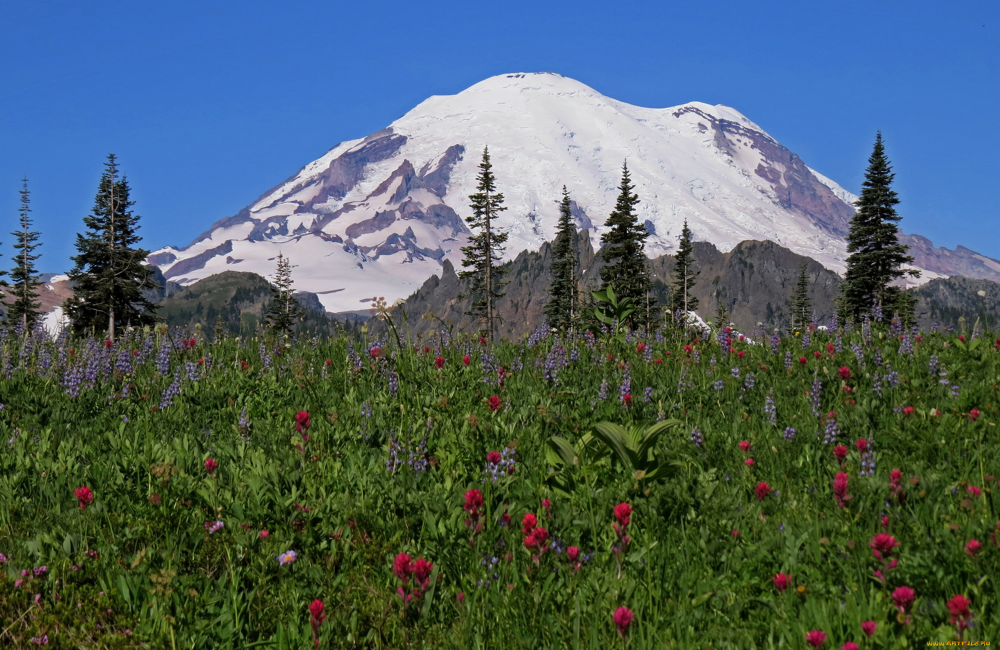 природа, горы, гора