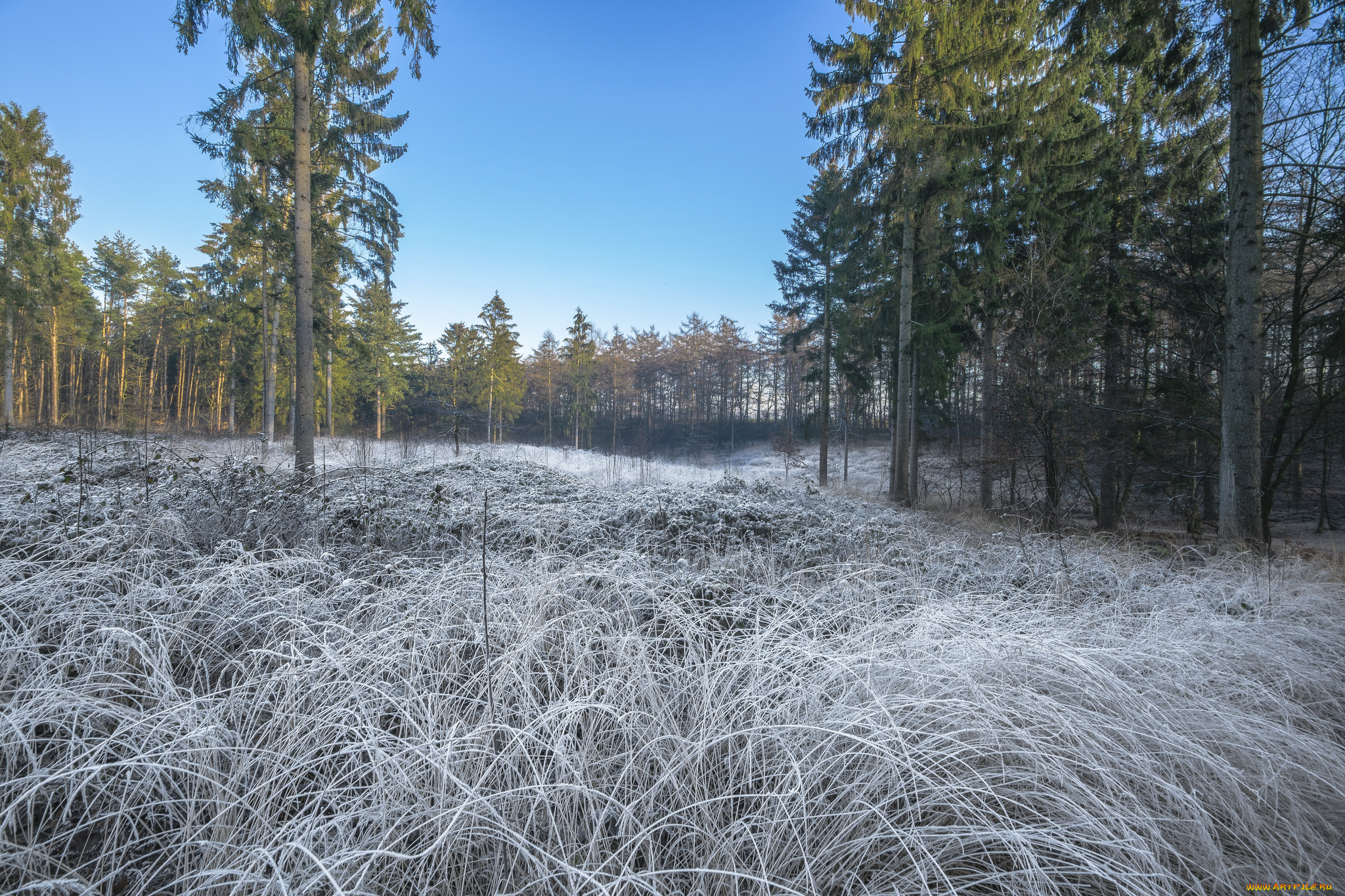 природа, пейзажи, простор