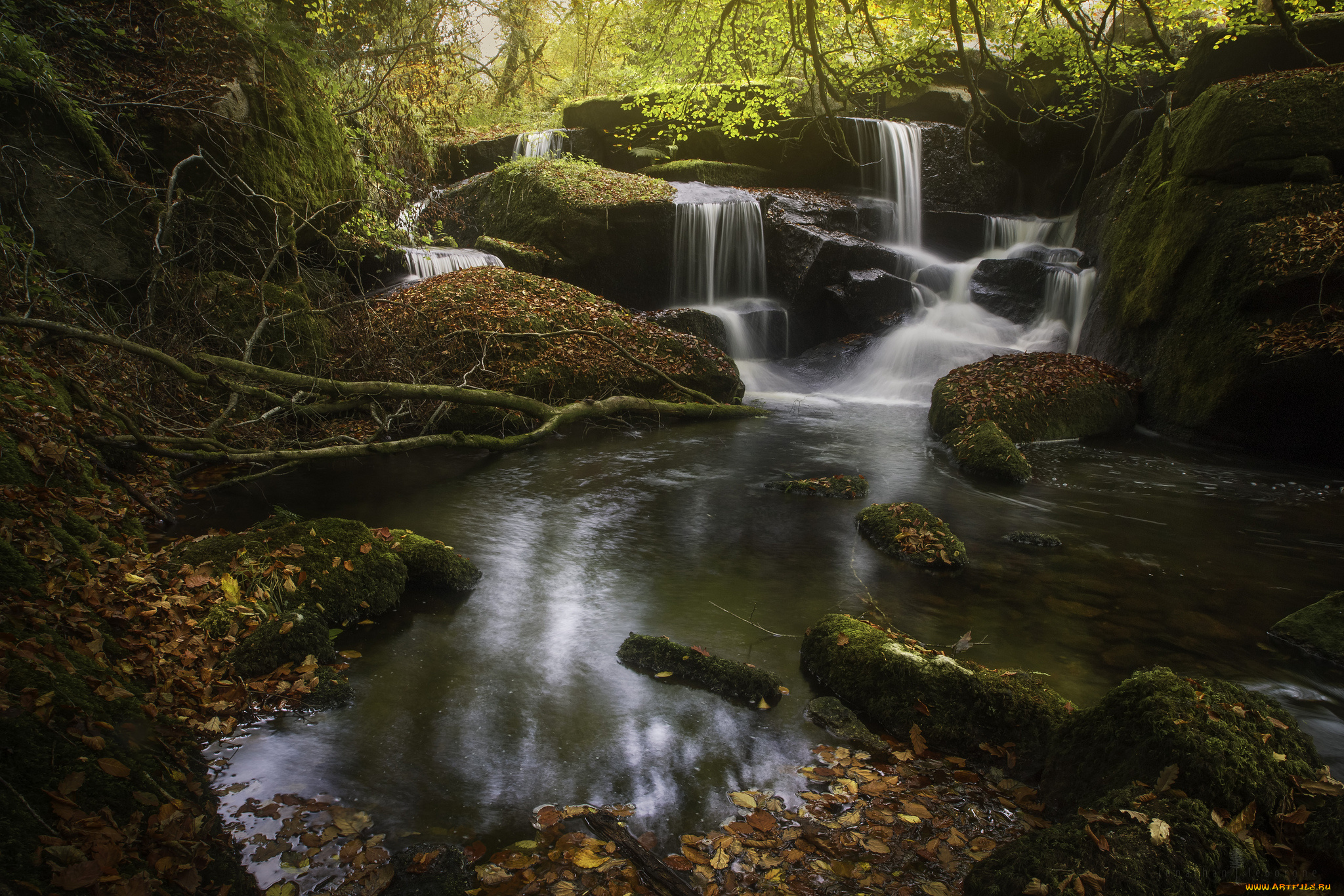 природа, водопады, stream, листья, вода, поток, водопад, осень, waterfall, autumn, water, leaves