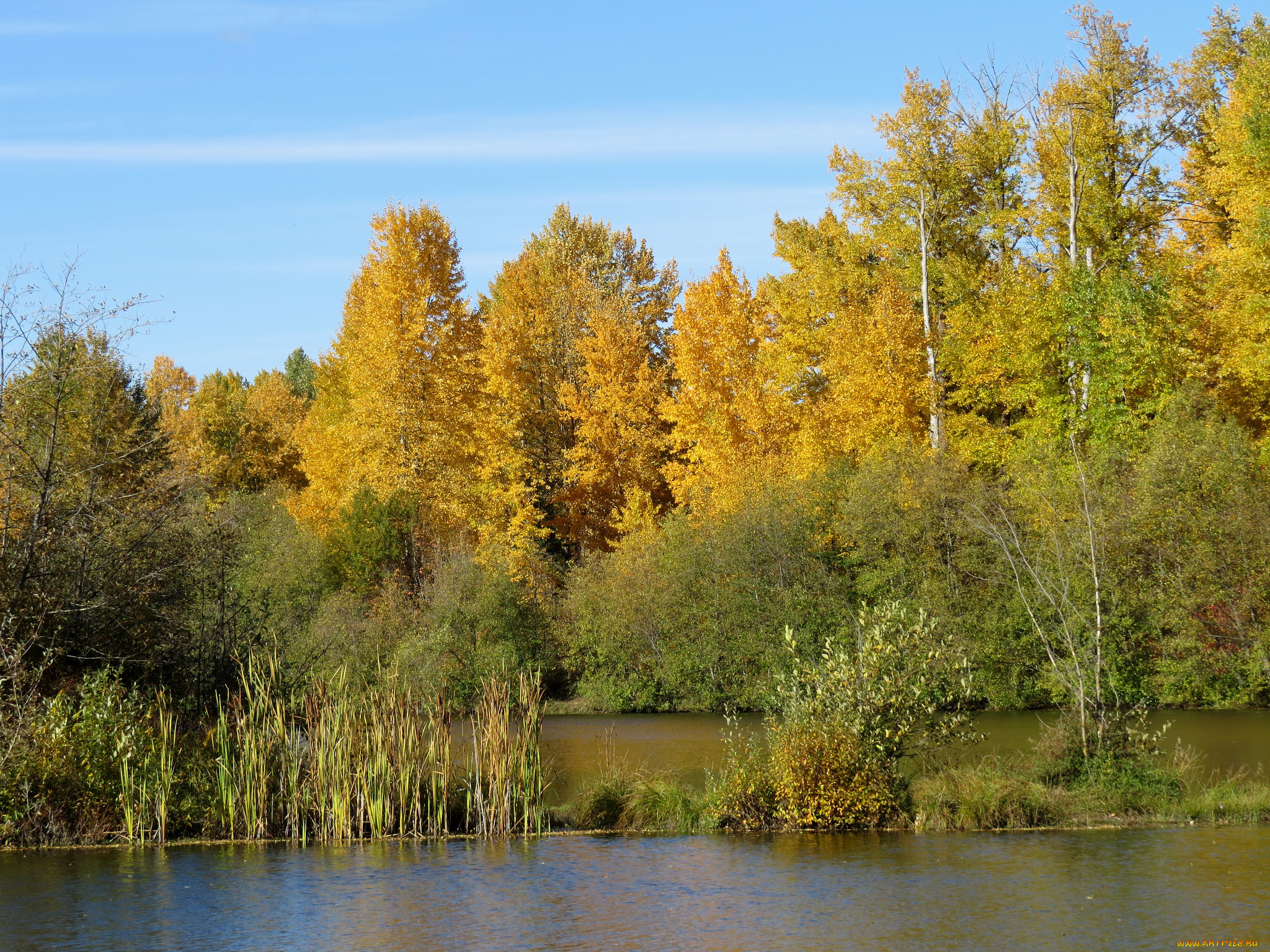 природа, реки, озера, осень