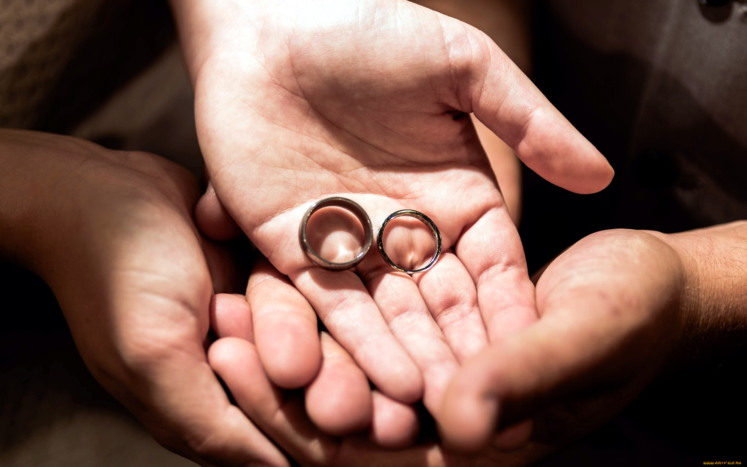 разное, руки, кольца, обручальные