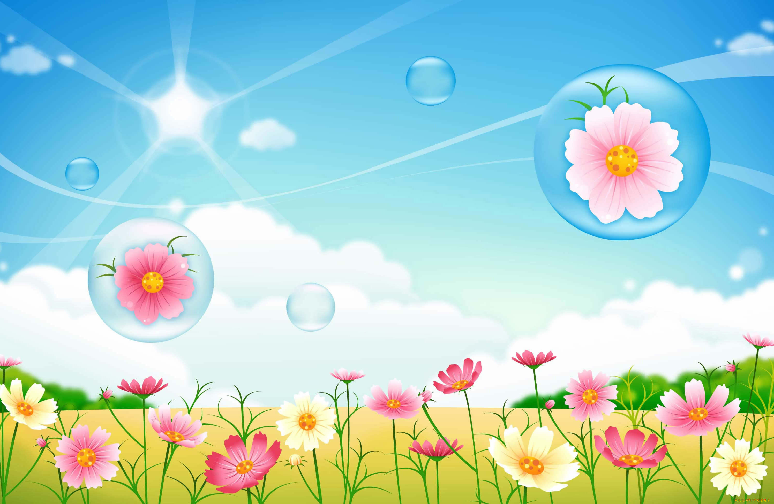 векторная, графика, цветы, , flowers, цветы, фон