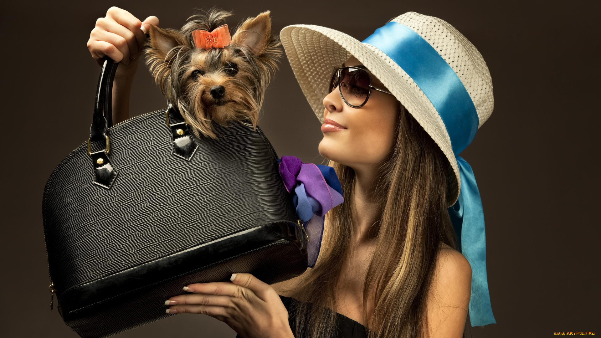 девушки, -unsort, , блондинки, , светловолосые, шляпа, улыбка, сумка, собака, очки