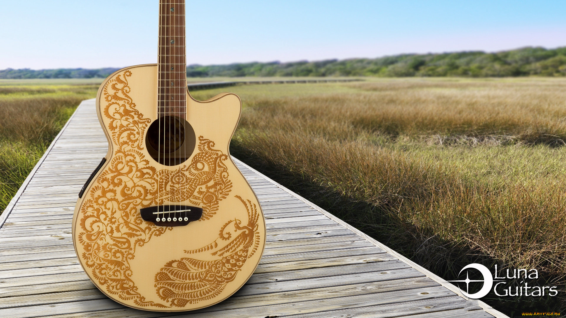 музыка, -музыкальные, инструменты, природа, растения, гитара