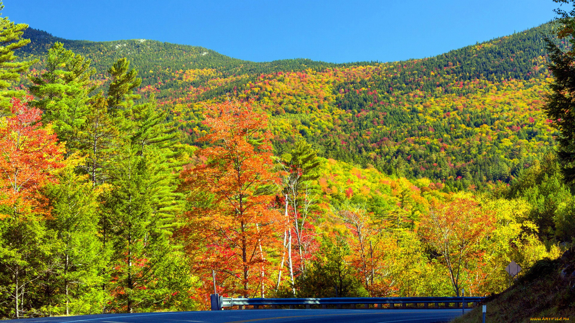 природа, дороги, поворот, шоссе, дорога, осень