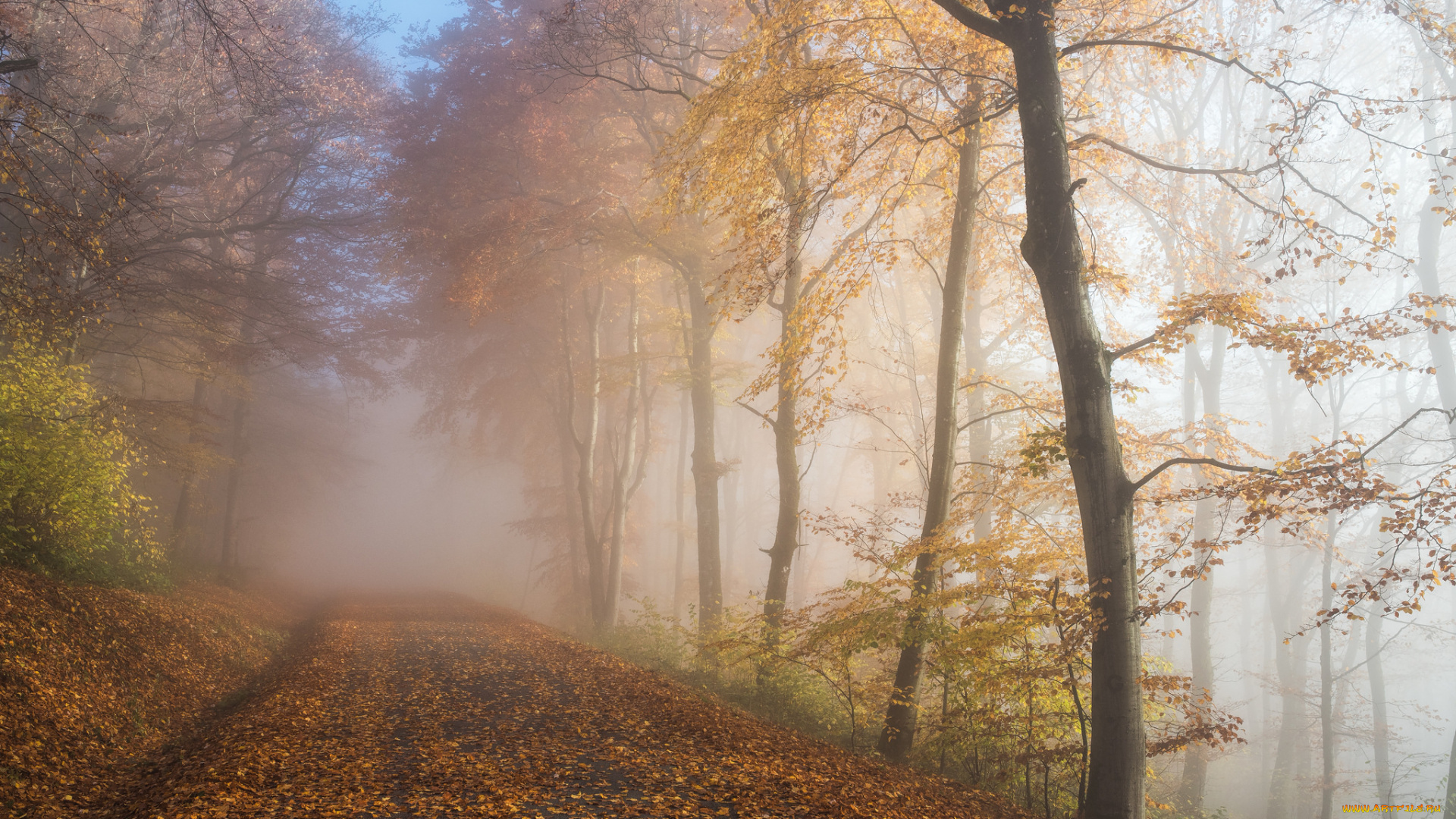 природа, дороги, простор